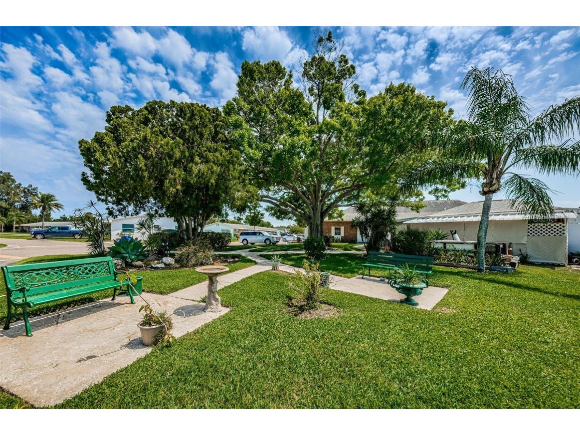 10022 Lily Street N #N Pinellas Park FL 33782 TB8348478 image39