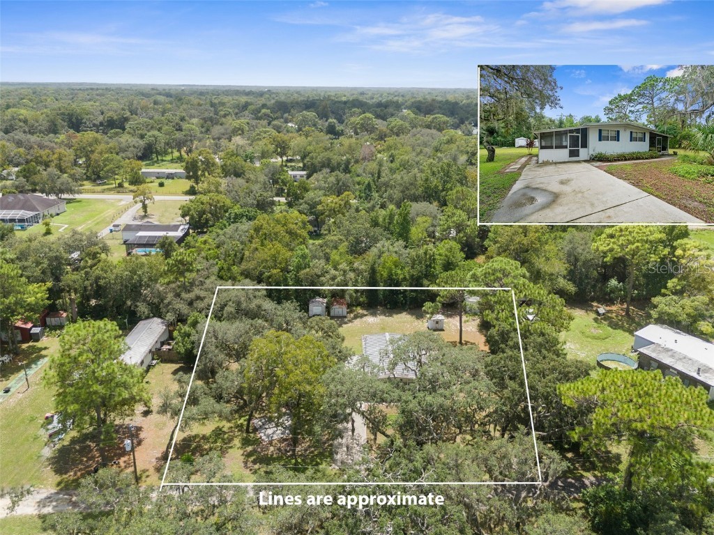 10022 Millikin Lane Hudson FL 34669 W7867244 image1