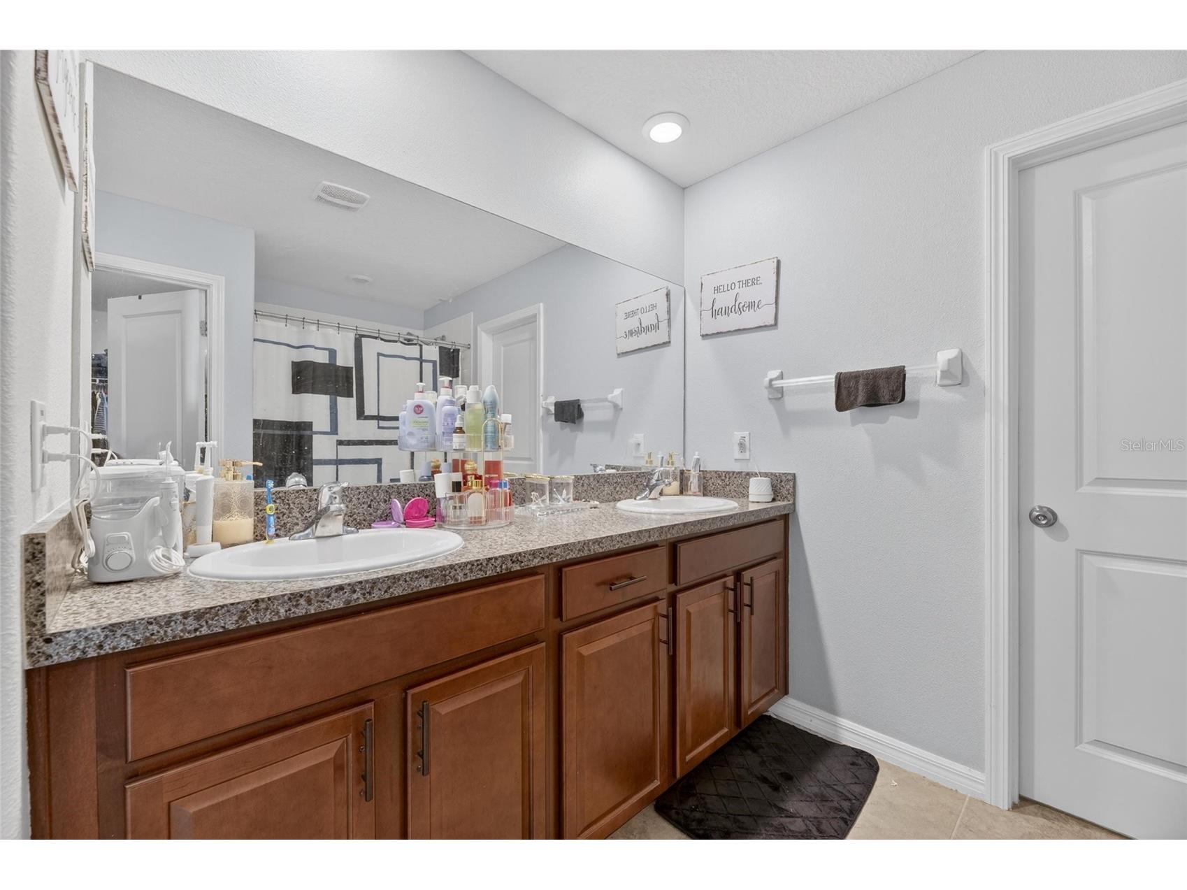 10022 Rose Petal Place Riverview FL 33578 TB8485130 image24