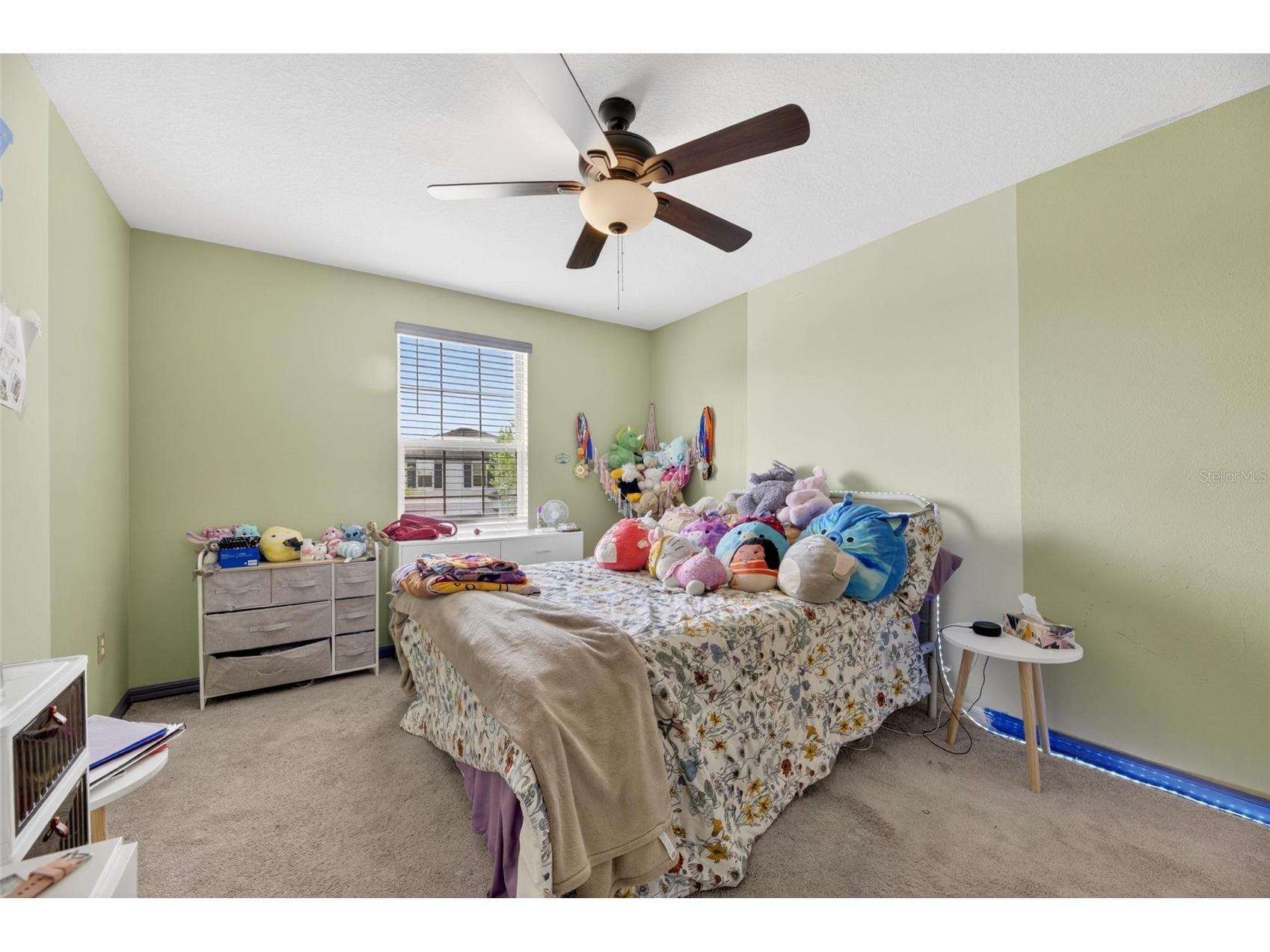 10022 Rose Petal Place Riverview FL 33578 TB8485130 image35