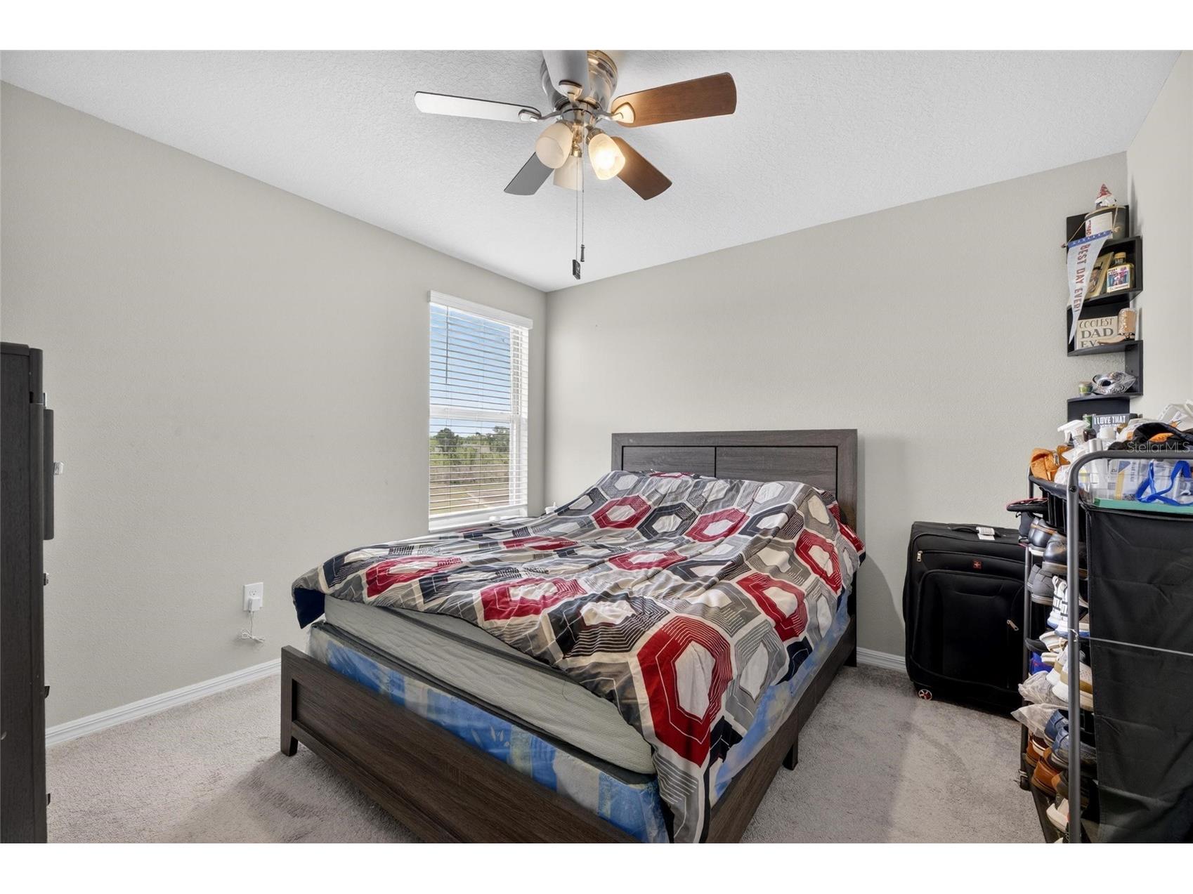 10022 Rose Petal Place Riverview FL 33578 TB8485130 image40