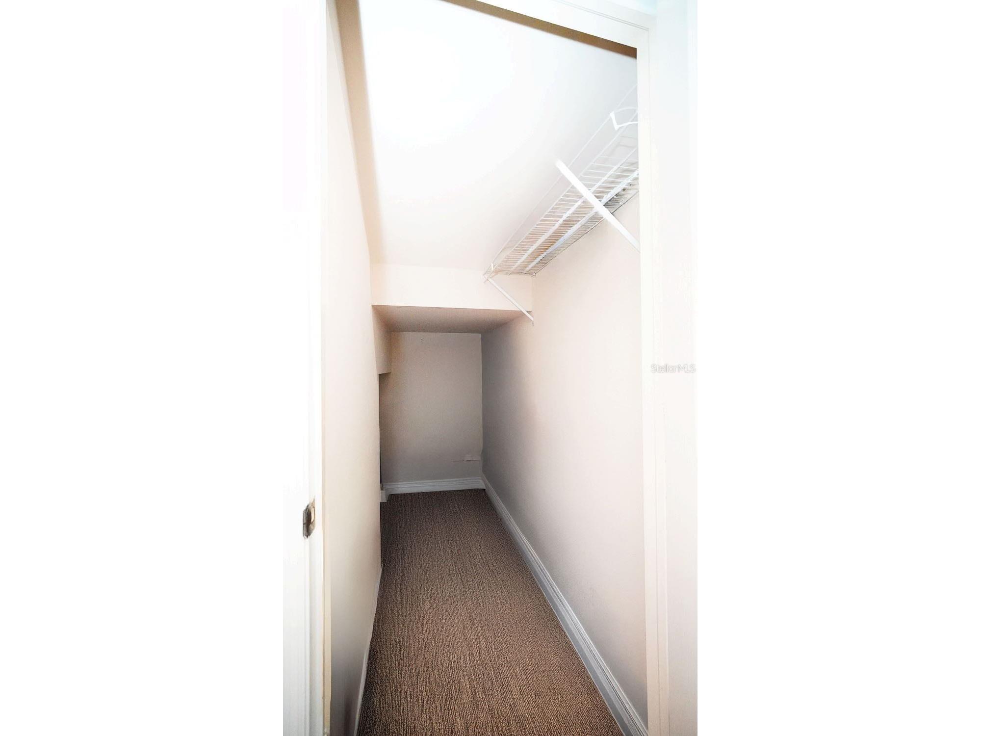 10023 Tate Lane Tampa FL 33626 TB8475828 image10