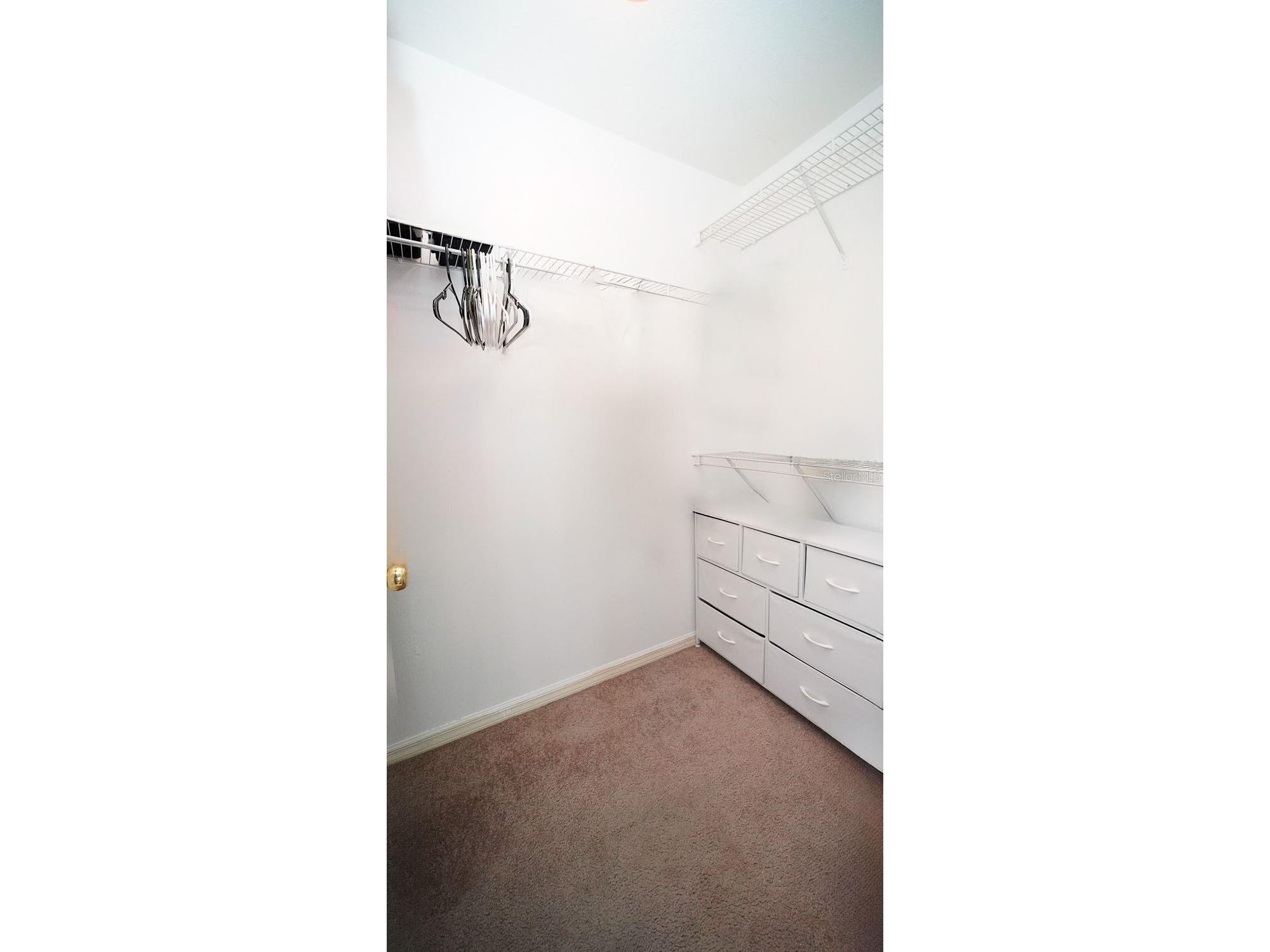 10023 Tate Lane Tampa FL 33626 TB8475828 image32