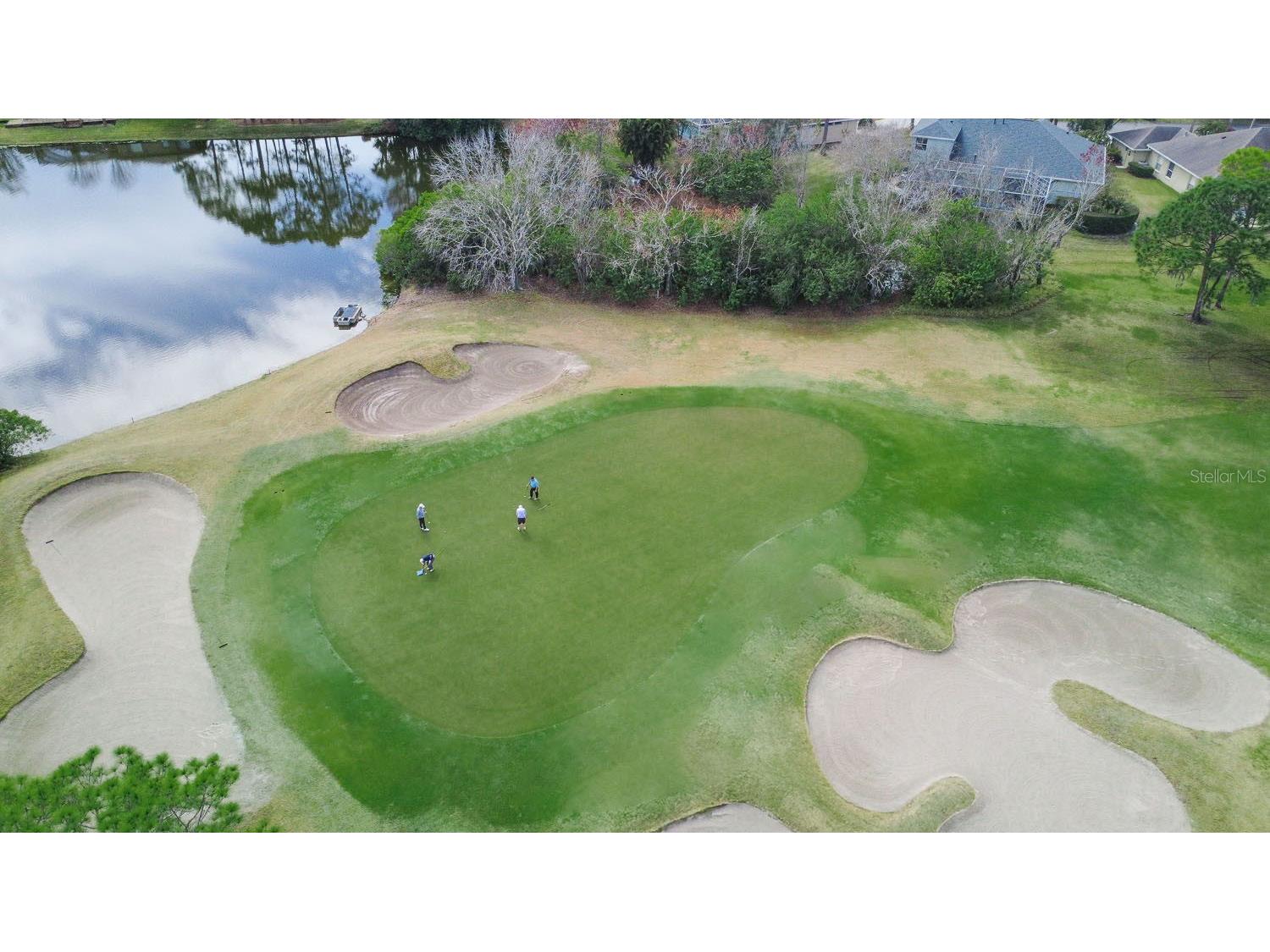 10023 Tate Lane Tampa FL 33626 TB8475828 image48