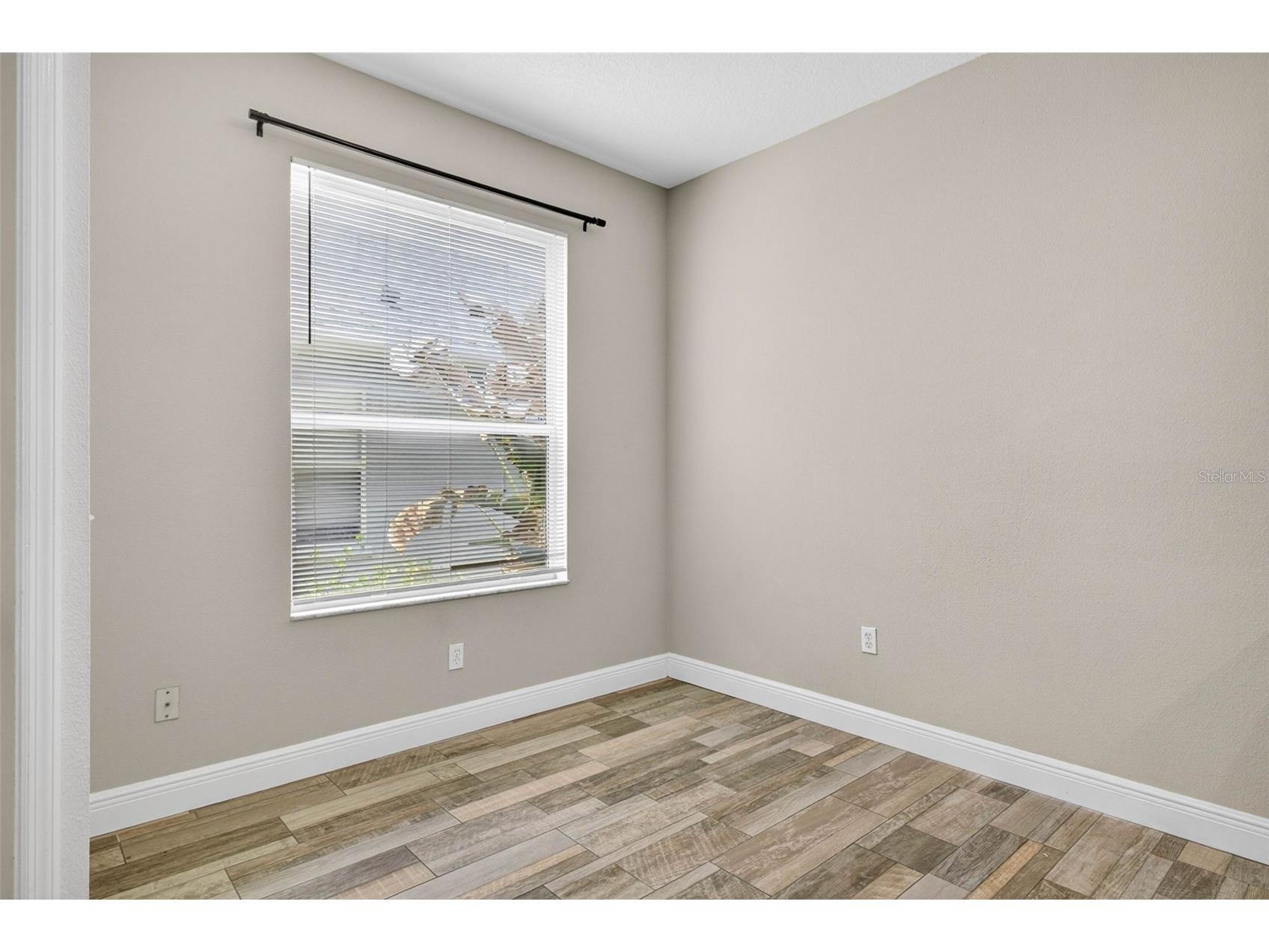 10024 Coldwater Loop Land O Lakes FL 34638 TB8508788 image15