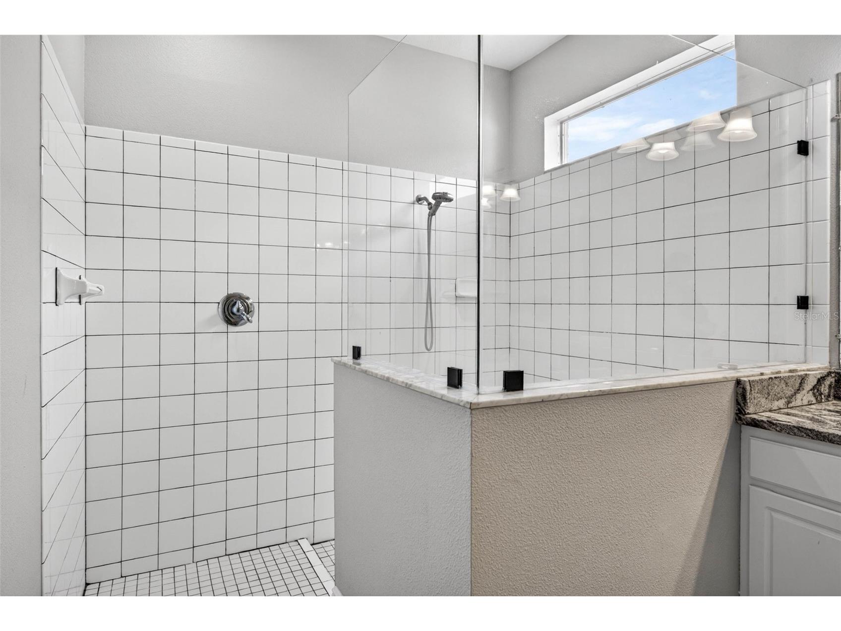 10024 Coldwater Loop Land O Lakes FL 34638 TB8508788 image28