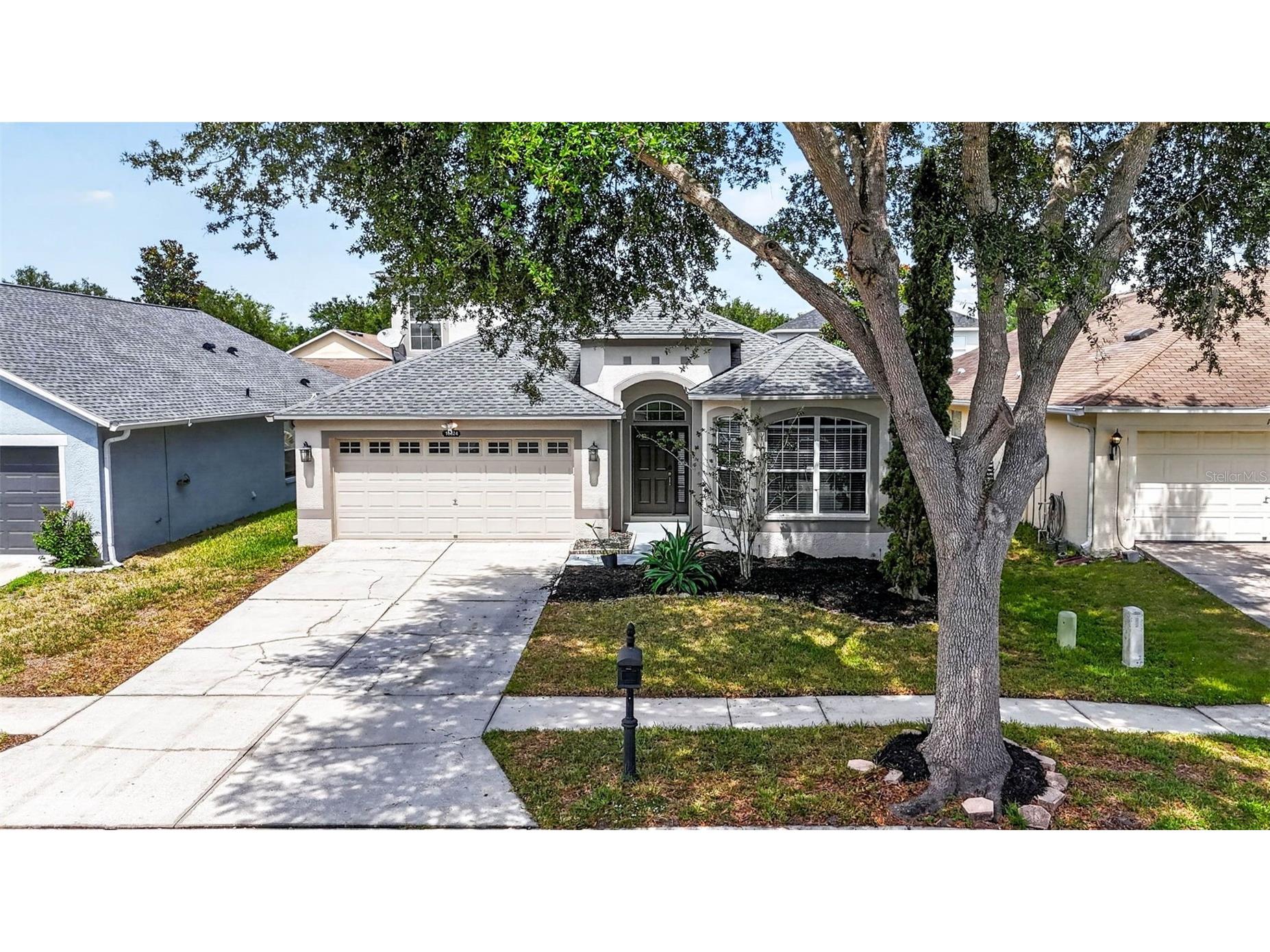 10024 Coldwater Loop Land O Lakes FL 34638 TB8508788 image37