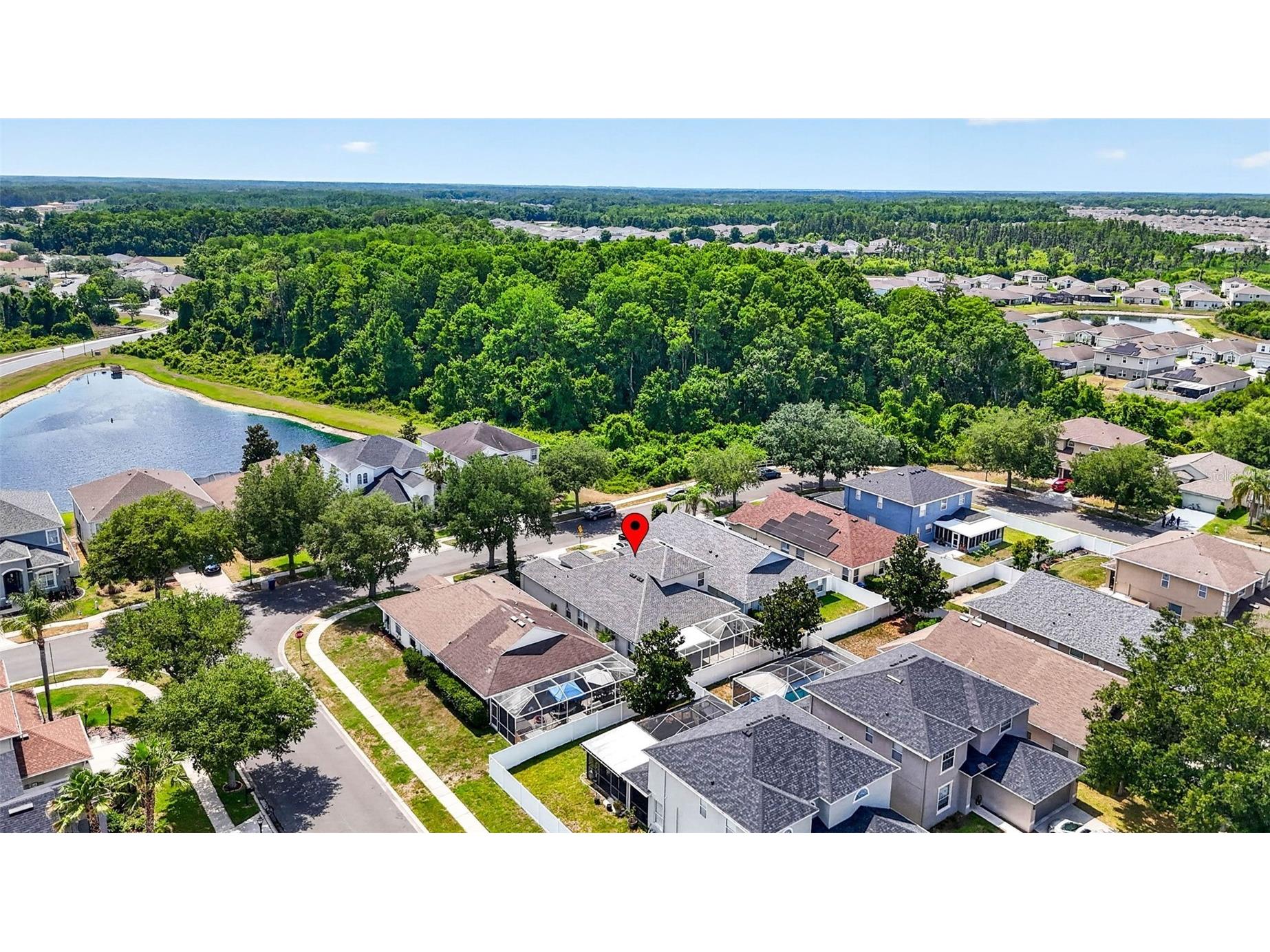 10024 Coldwater Loop Land O Lakes FL 34638 TB8508788 image42
