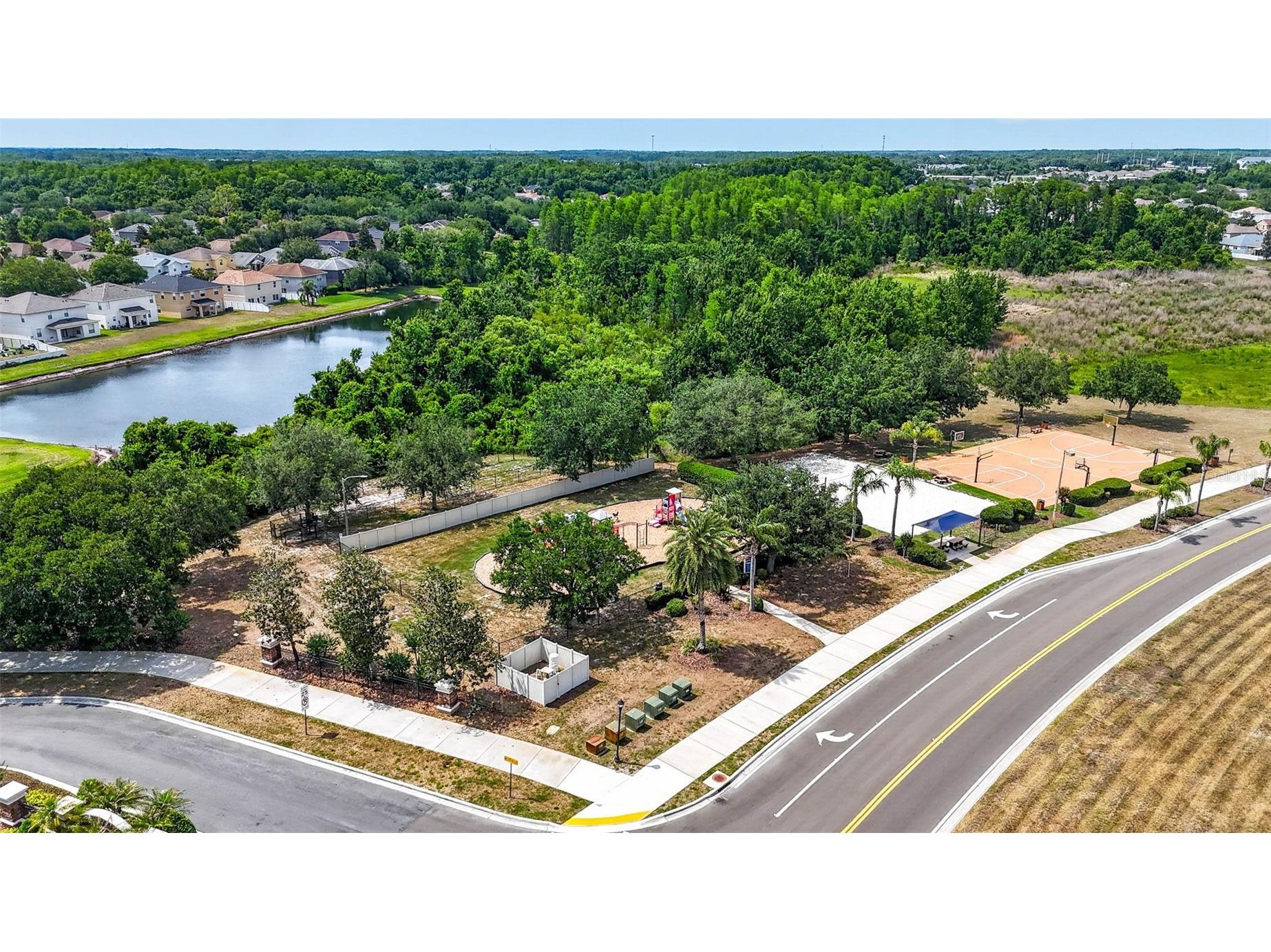 10024 Coldwater Loop Land O Lakes FL 34638 TB8508788 image45