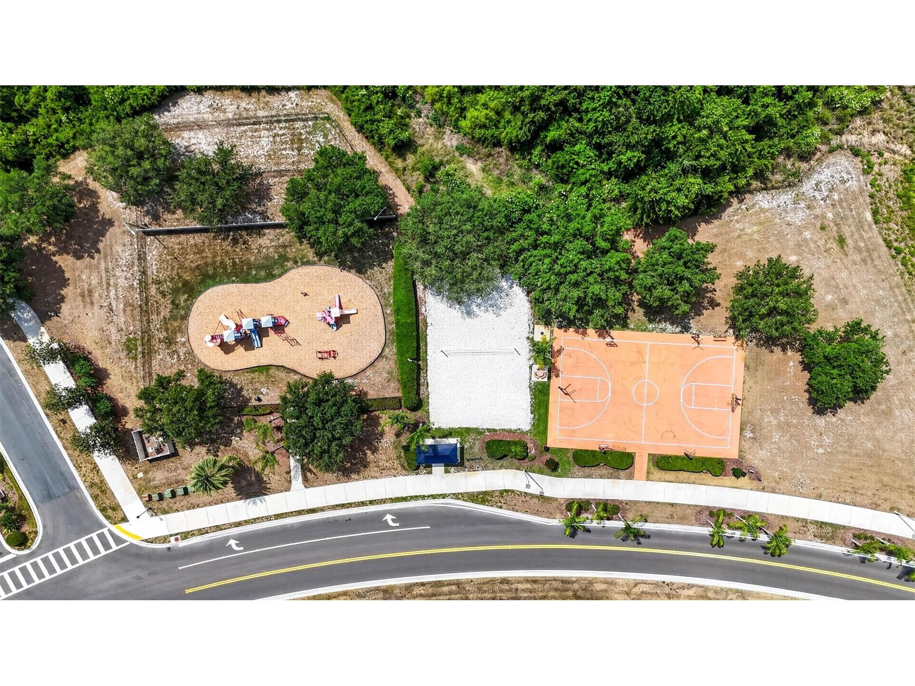 10024 Coldwater Loop Land O Lakes FL 34638 TB8508788 image47
