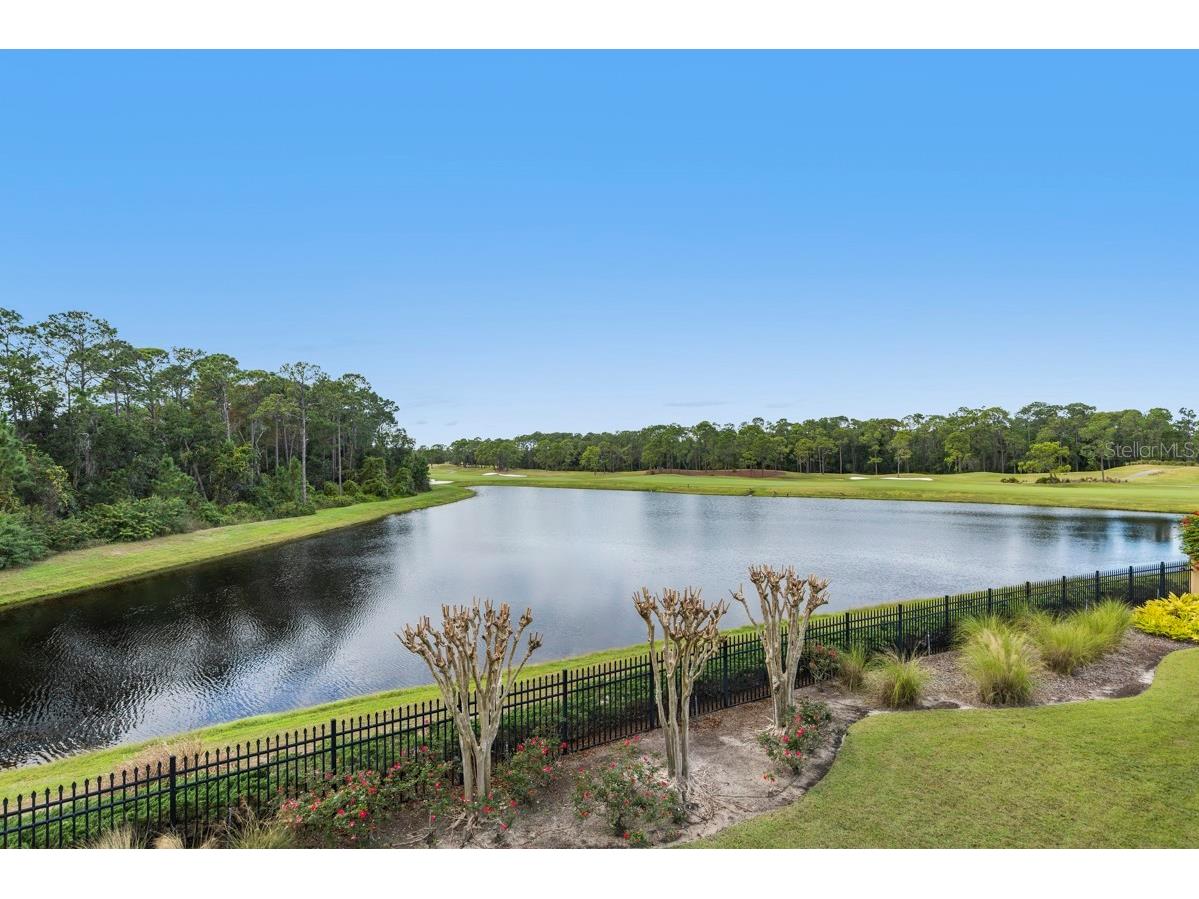 10024 Enchanted Oak Drive Golden Oak FL 32836 O6366604 image68