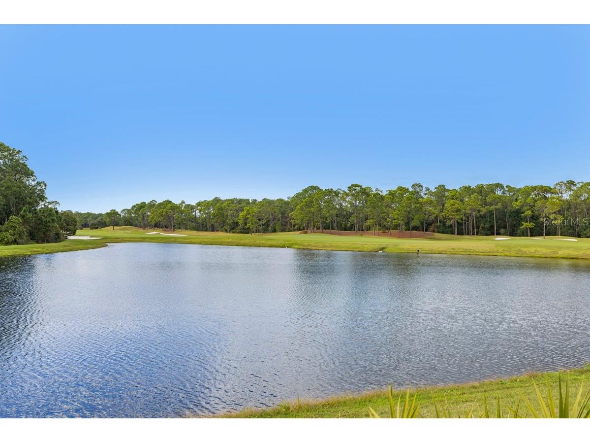 10024 Enchanted Oak Drive Golden Oak FL 32836 O6366604 image83