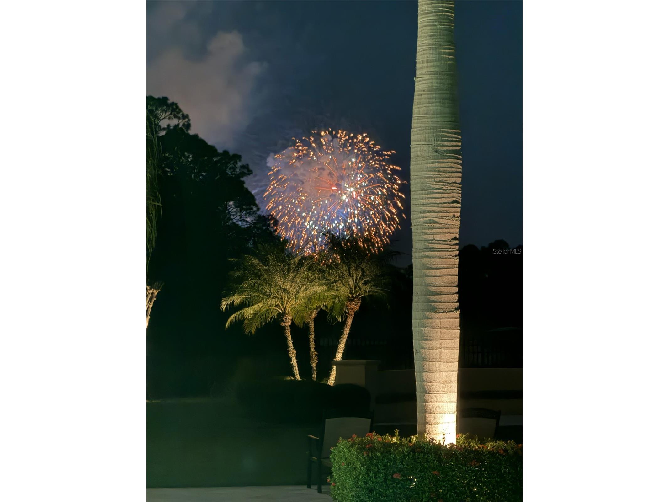 10024 Enchanted Oak Drive Golden Oak FL 32836 O6366604 image96