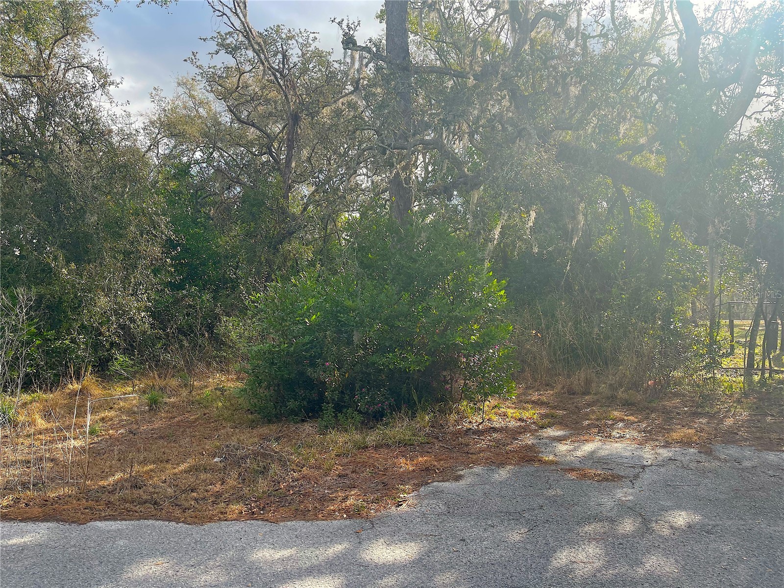 10024 Oana Street New Port Richey FL 34654 TB8478412 image1