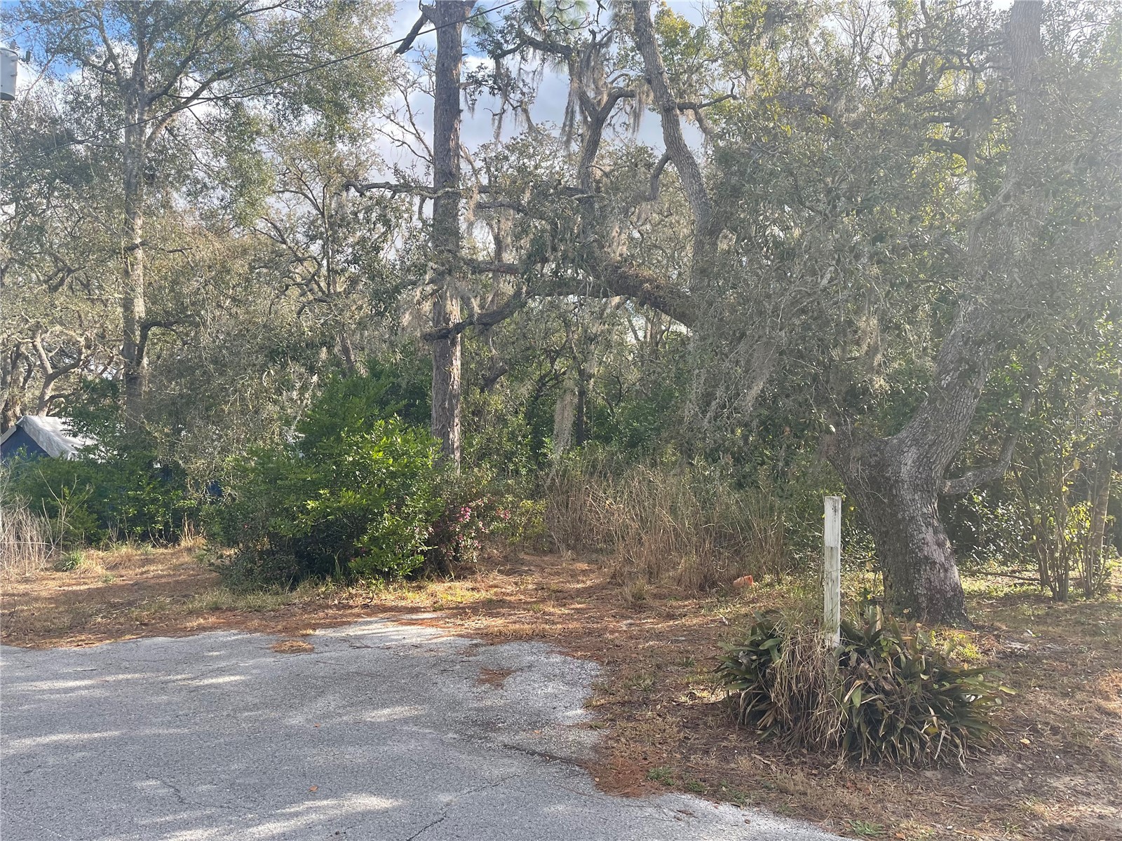 10024 Oana Street New Port Richey FL 34654 TB8478412 image2