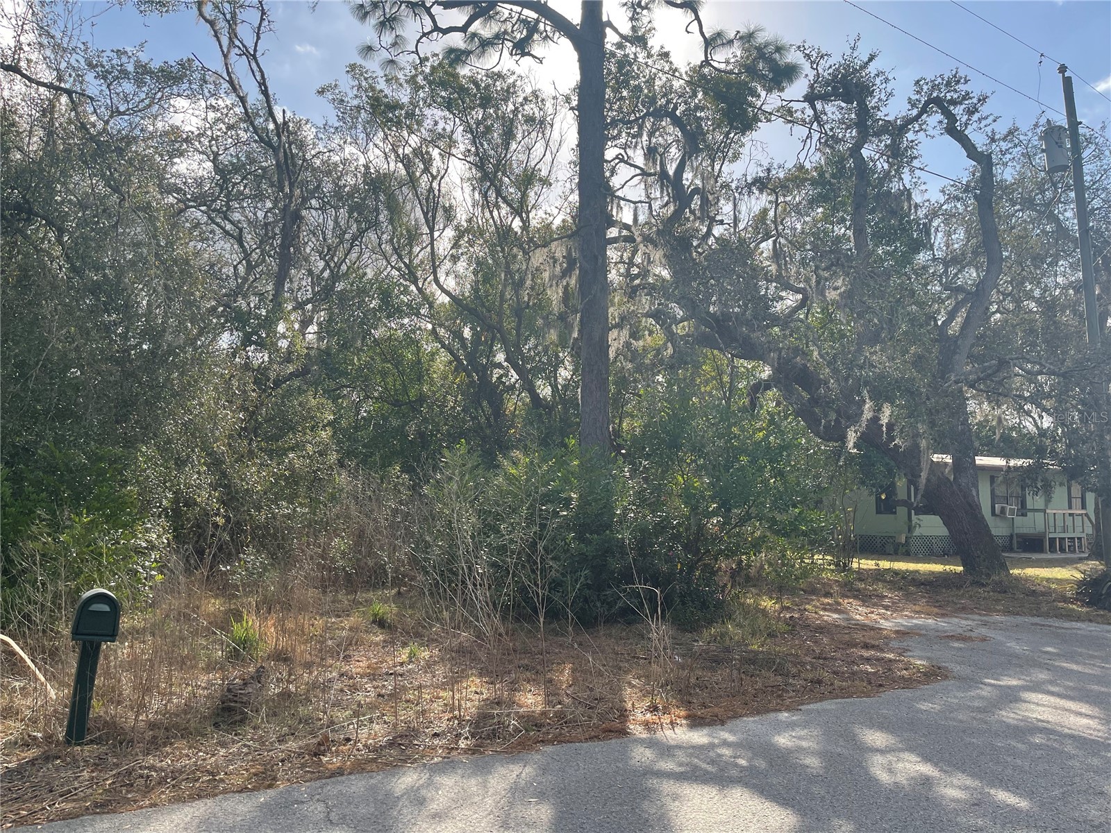 10024 Oana Street New Port Richey FL 34654 TB8478412 image3