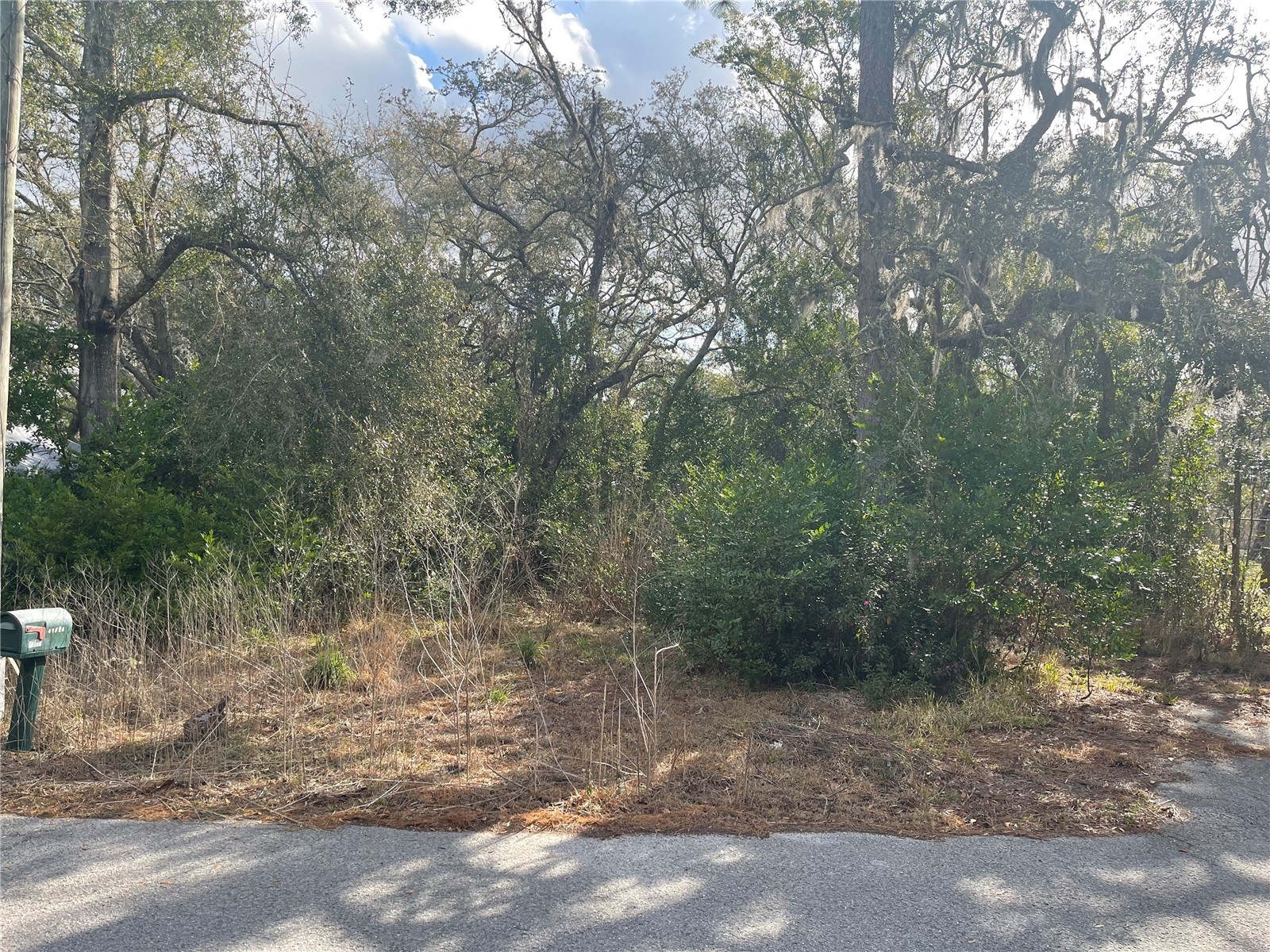10024 Oana Street New Port Richey FL 34654 TB8478412 image4