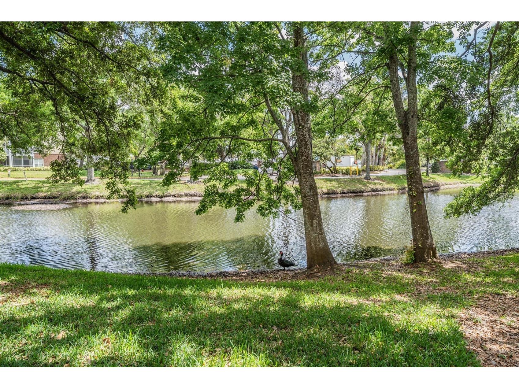 10024 Strafford Oak Court #802 Tampa FL 33624 TB8494351 image21