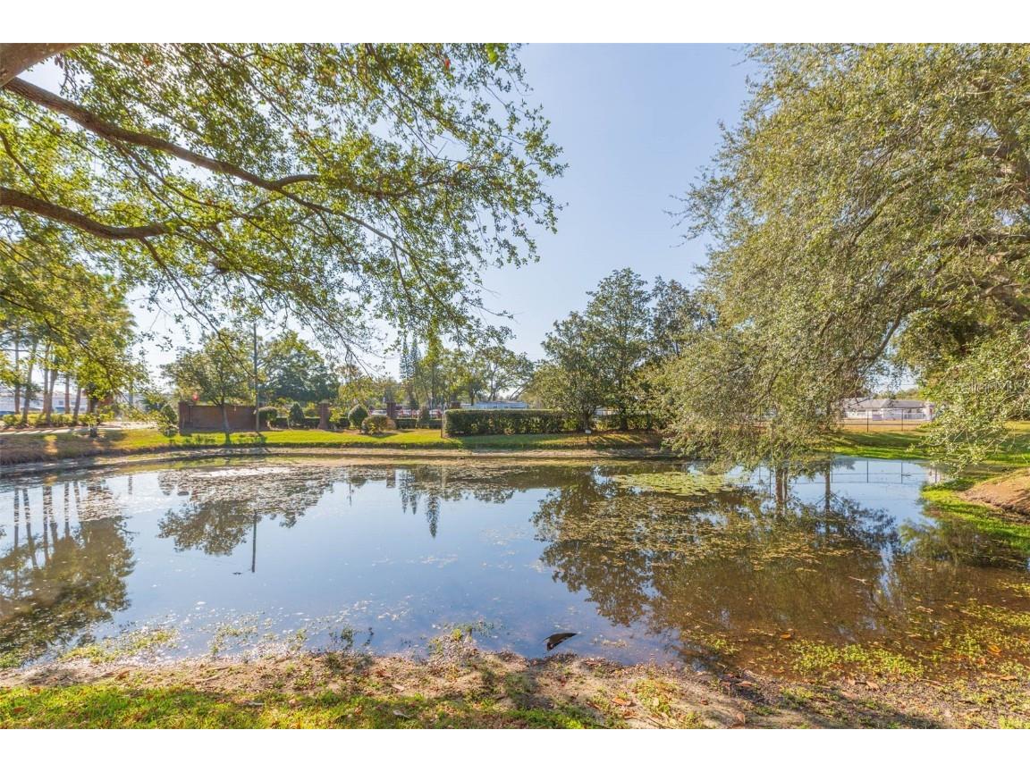 10024 Strafford Oak Court #806 Tampa FL 33624 TB8421761 image20