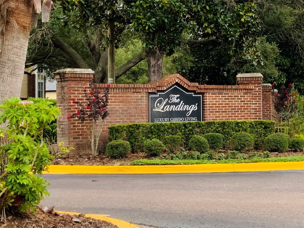 10024 Strafford Oak Court #822 Tampa FL 33624 T3463279 image1