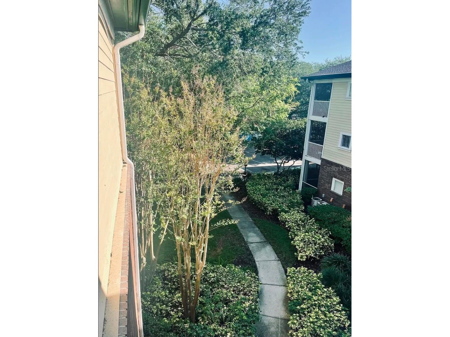 10024 Strafford Oak Court #824 Tampa FL 33624 TB8513876 image5