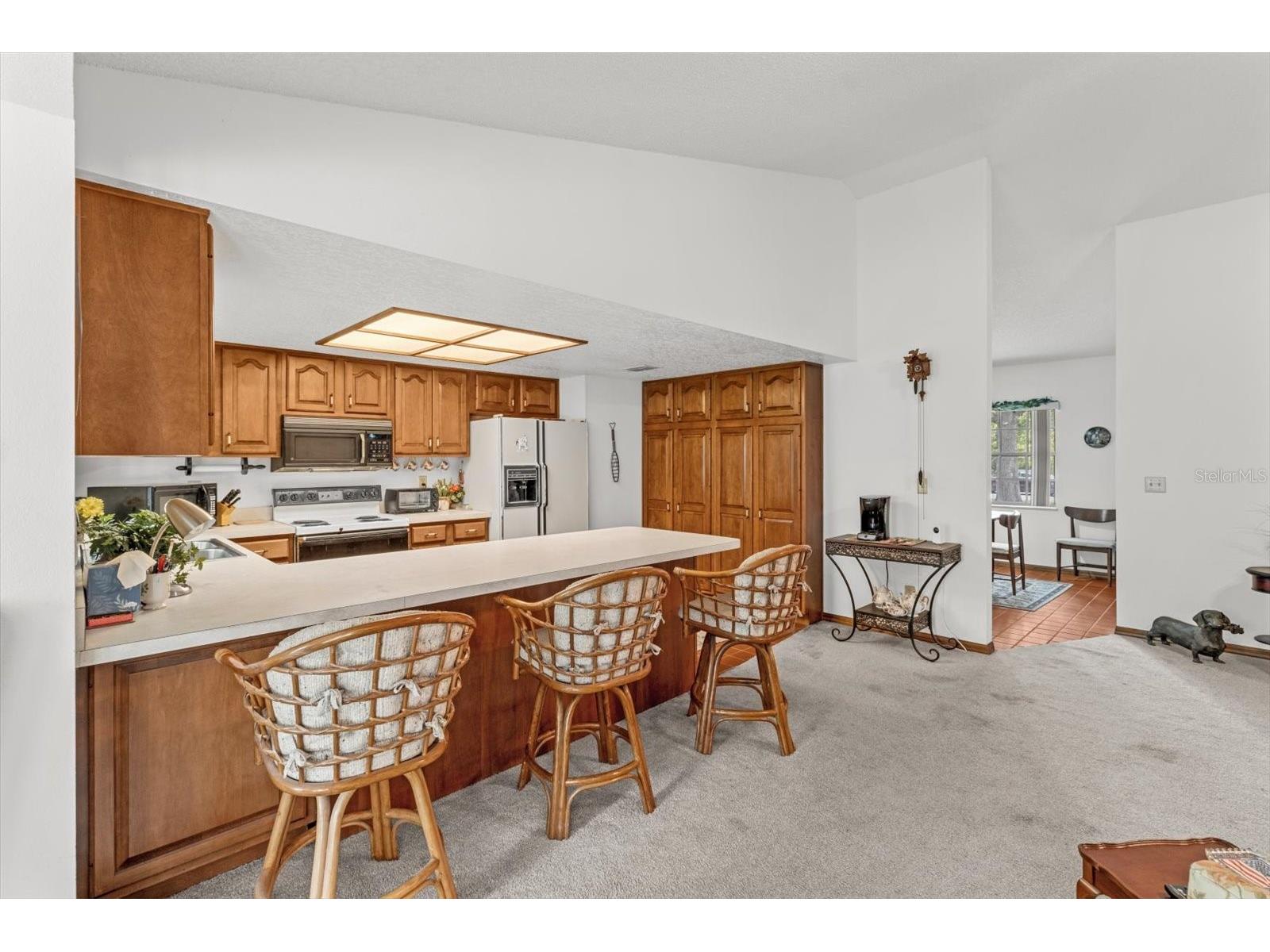 10025 Kimbrough Drive Brooksville FL 34601 TB8500085 image12