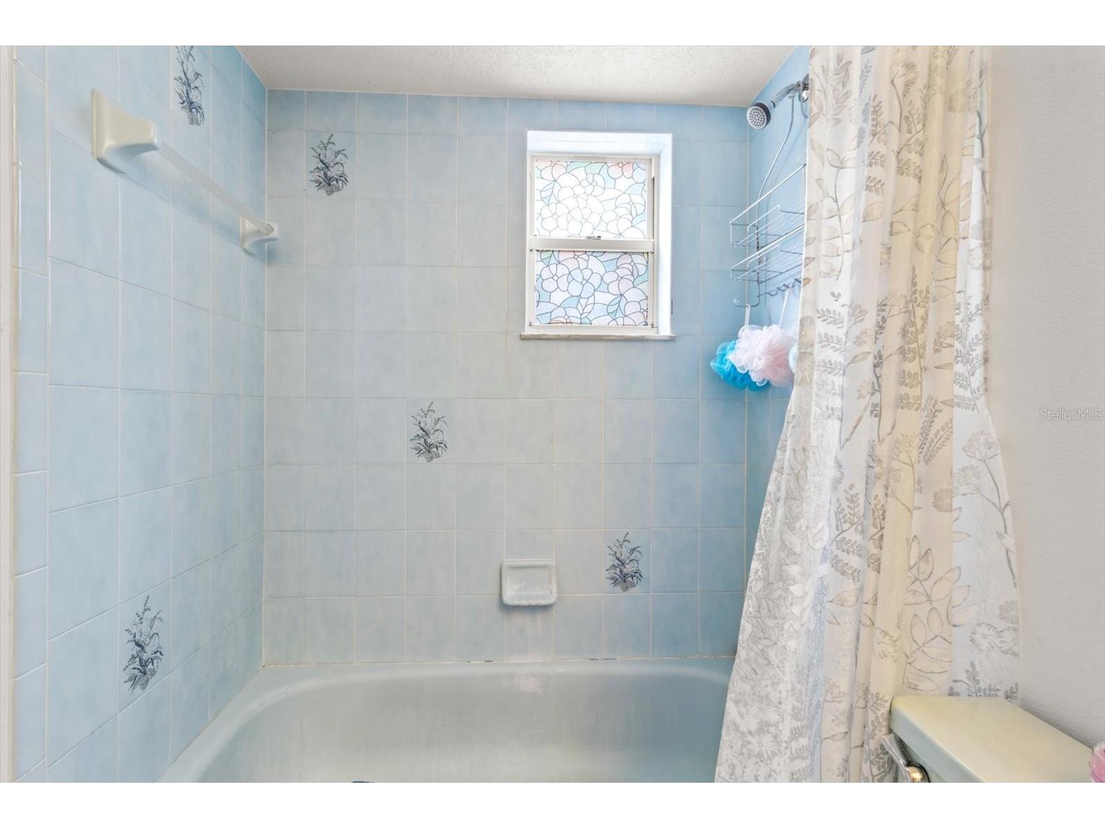 10025 Kimbrough Drive Brooksville FL 34601 TB8500085 image31
