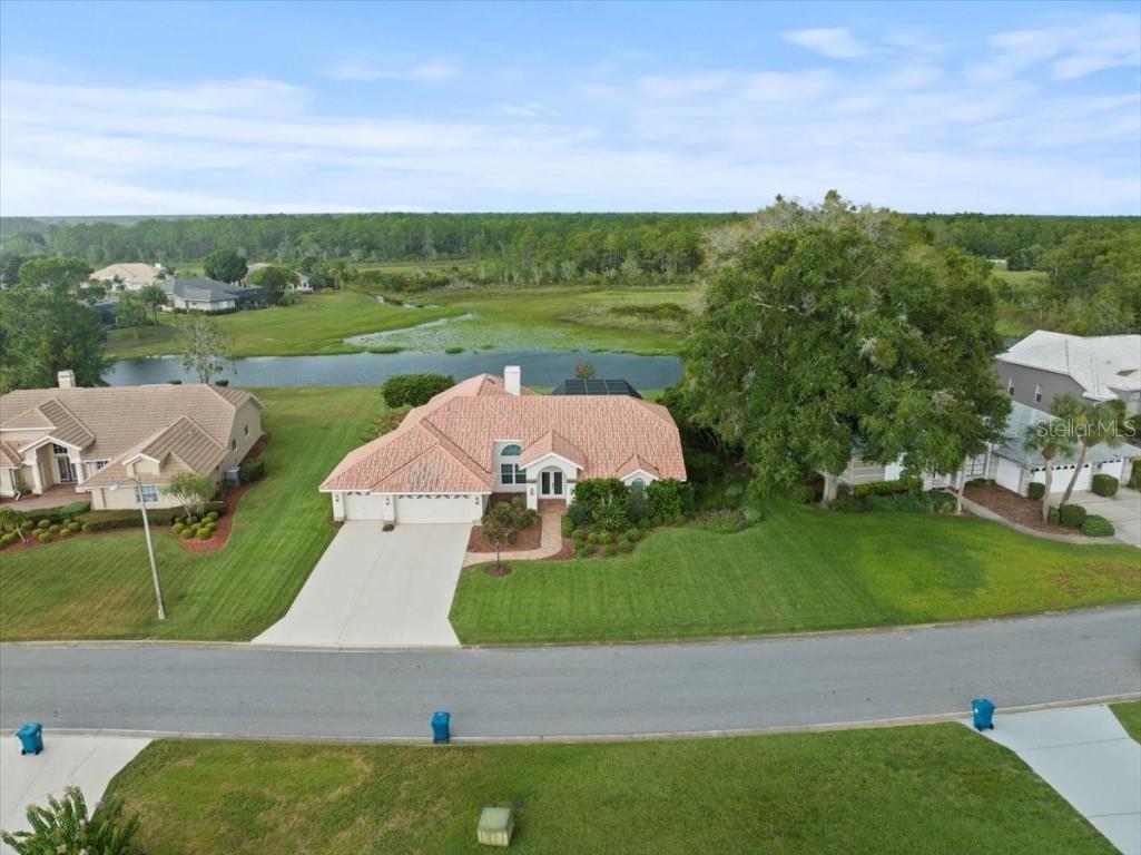 10025 Scarlett Court Weeki Wachee FL 34613 W7856369 image1