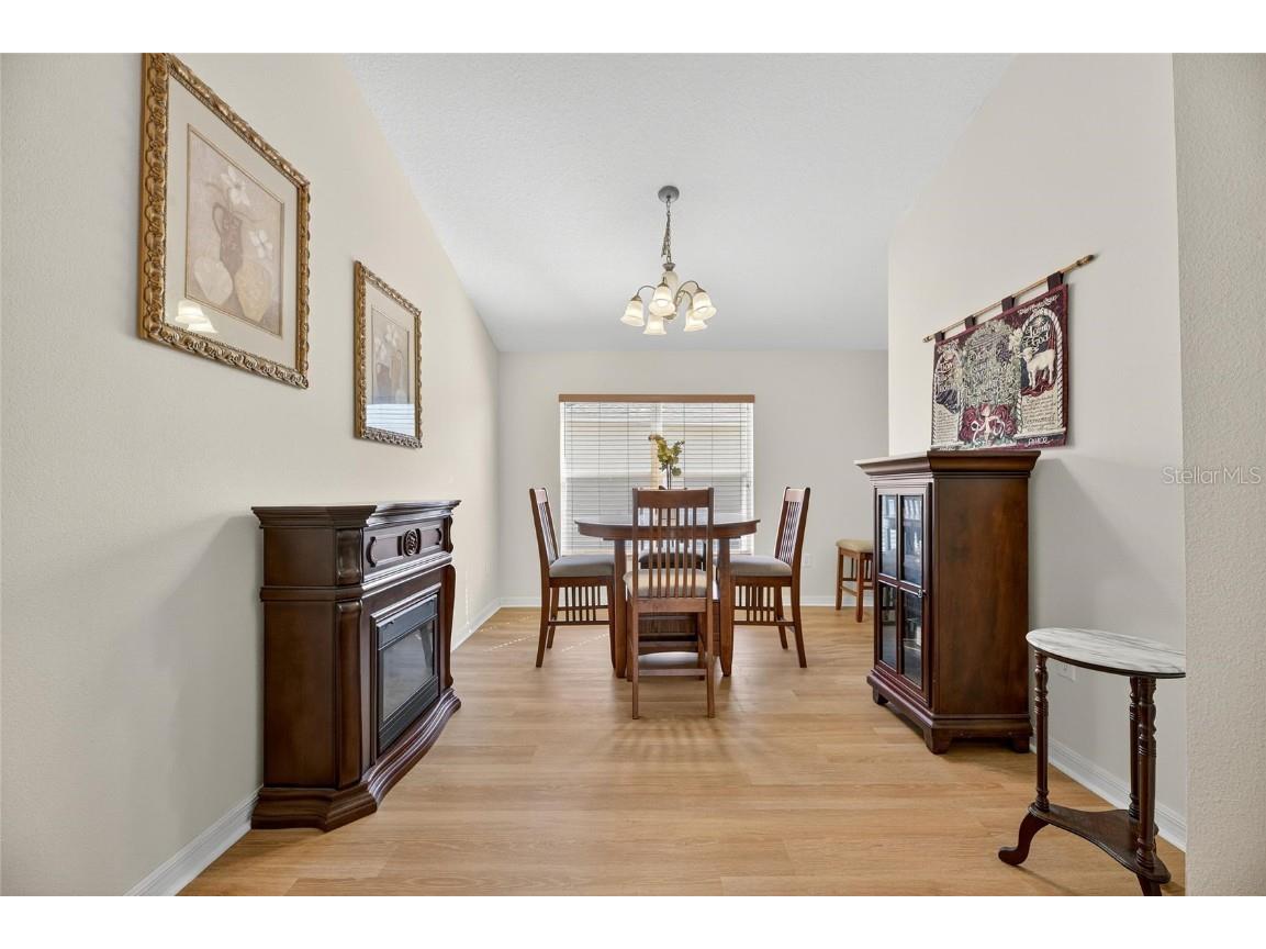 10026 Creek Bluff Drive Riverview FL 33578 TB8441222 image13