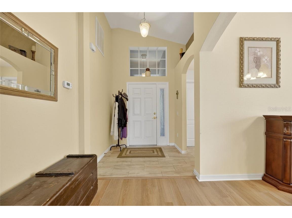 10026 Creek Bluff Drive Riverview FL 33578 TB8441222 image15