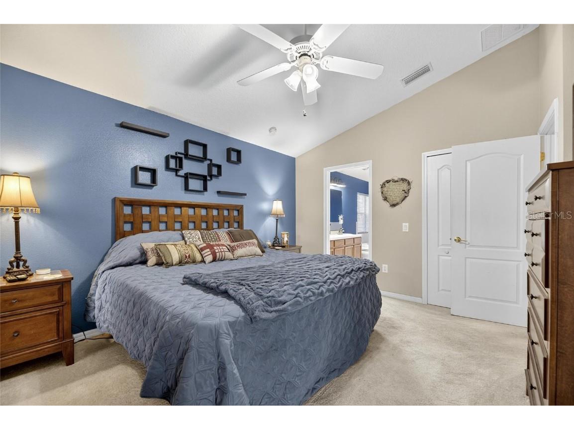 10026 Creek Bluff Drive Riverview FL 33578 TB8441222 image24