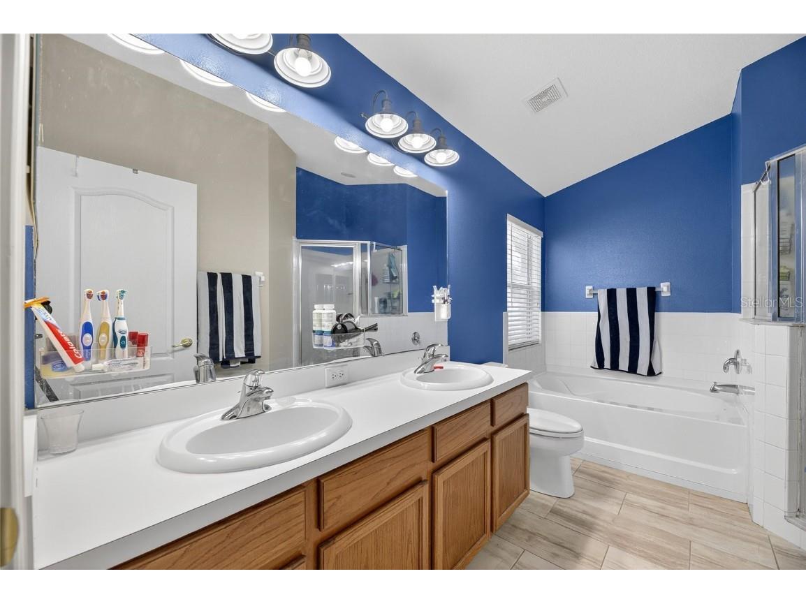 10026 Creek Bluff Drive Riverview FL 33578 TB8441222 image25