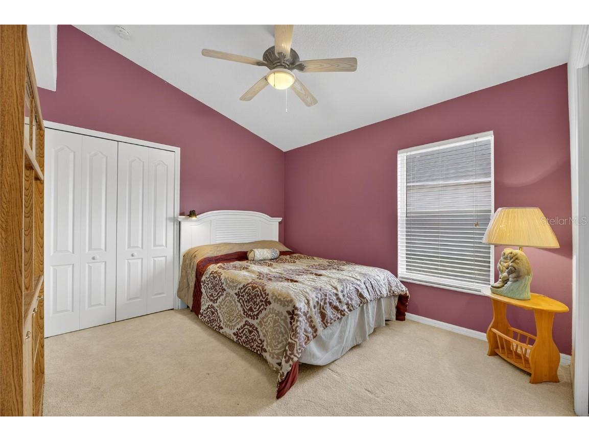 10026 Creek Bluff Drive Riverview FL 33578 TB8441222 image26