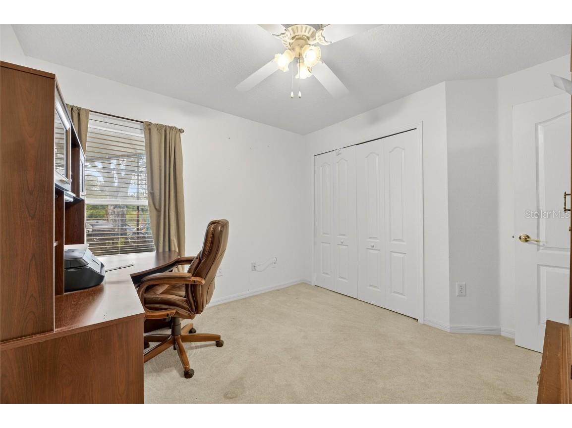 10026 Creek Bluff Drive Riverview FL 33578 TB8441222 image29