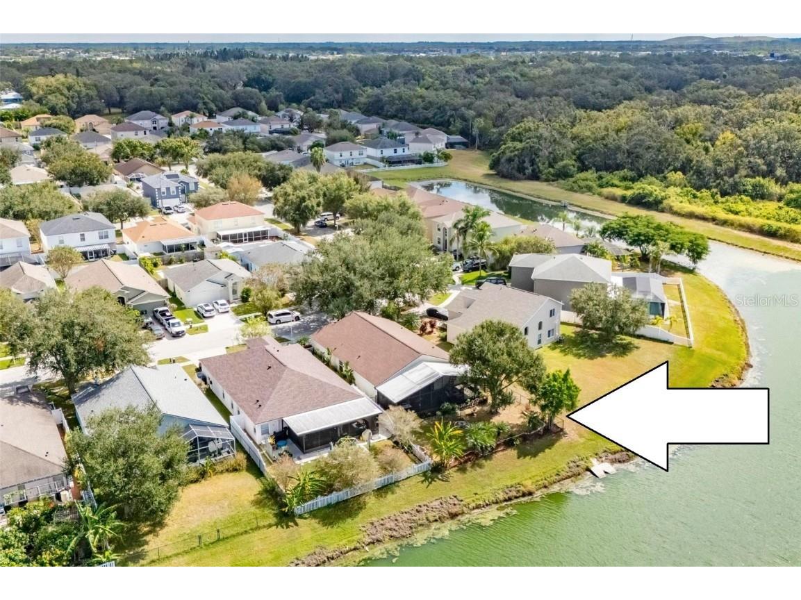 10026 Creek Bluff Drive Riverview FL 33578 TB8441222 image3