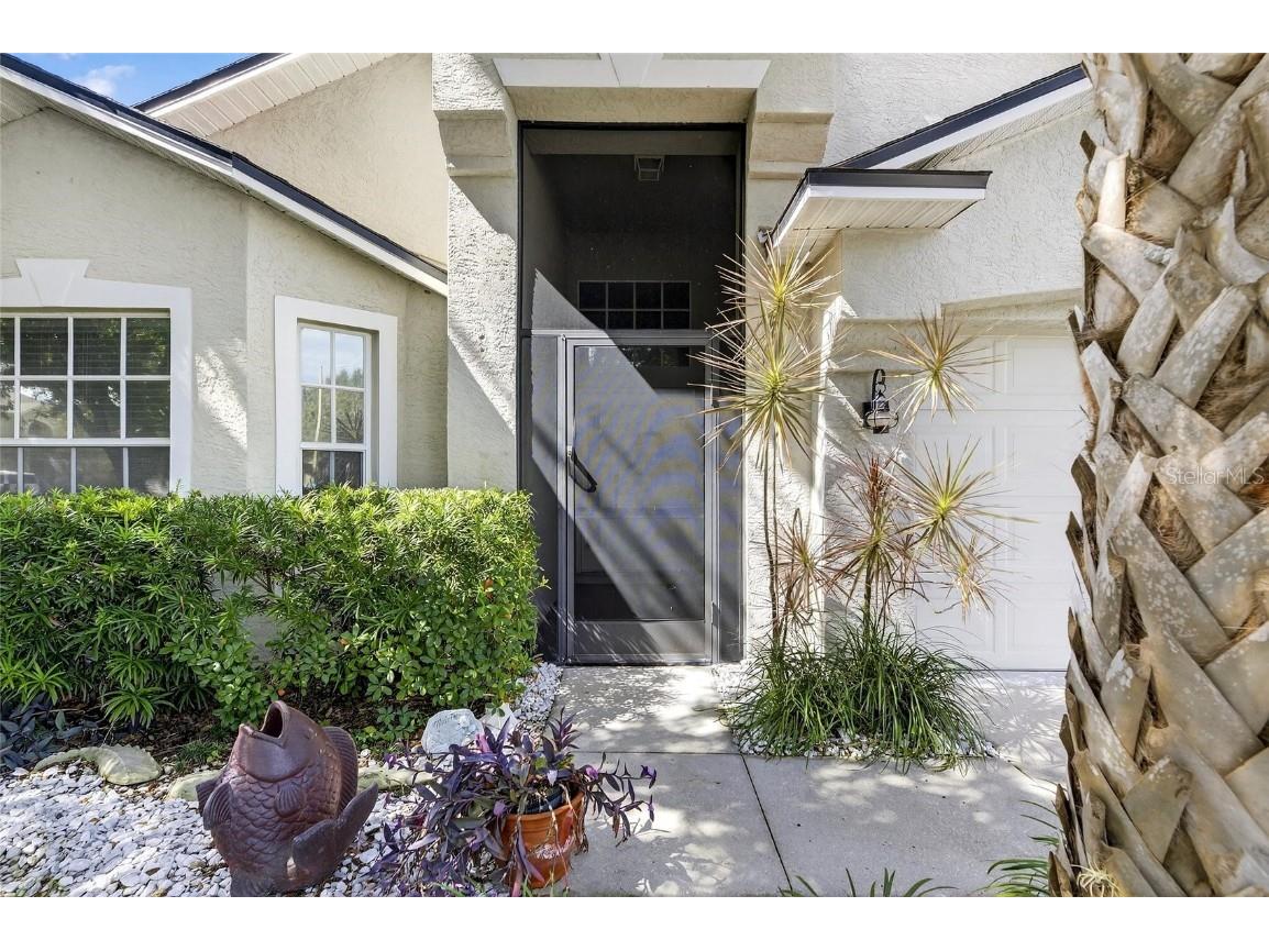 10026 Creek Bluff Drive Riverview FL 33578 TB8441222 image33