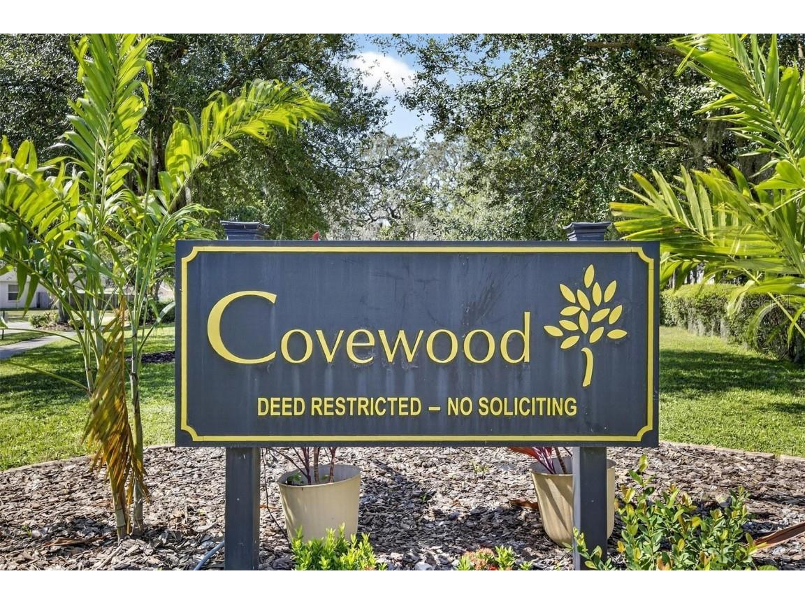 10026 Creek Bluff Drive Riverview FL 33578 TB8441222 image35