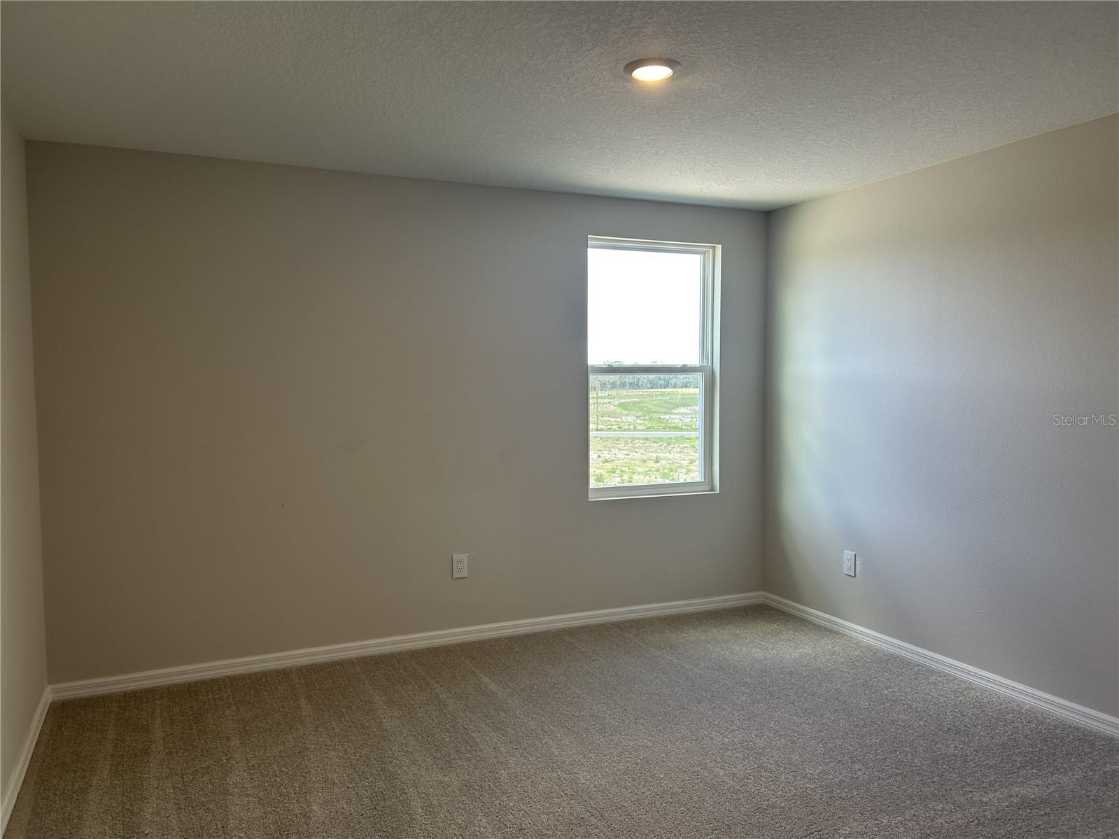 10026 Hidden Hammock Loop Parrish FL 34219 TB8474313 image26