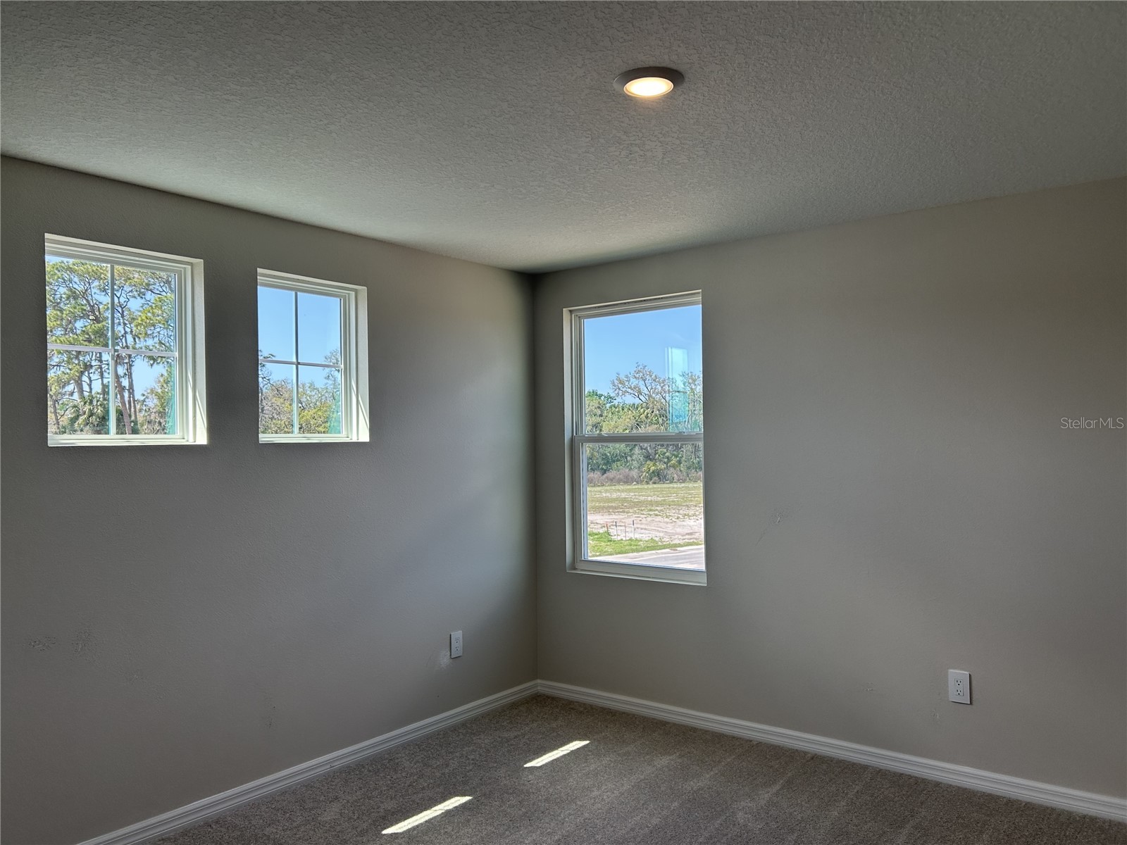 10026 Hidden Hammock Loop Parrish FL 34219 TB8474313 image27