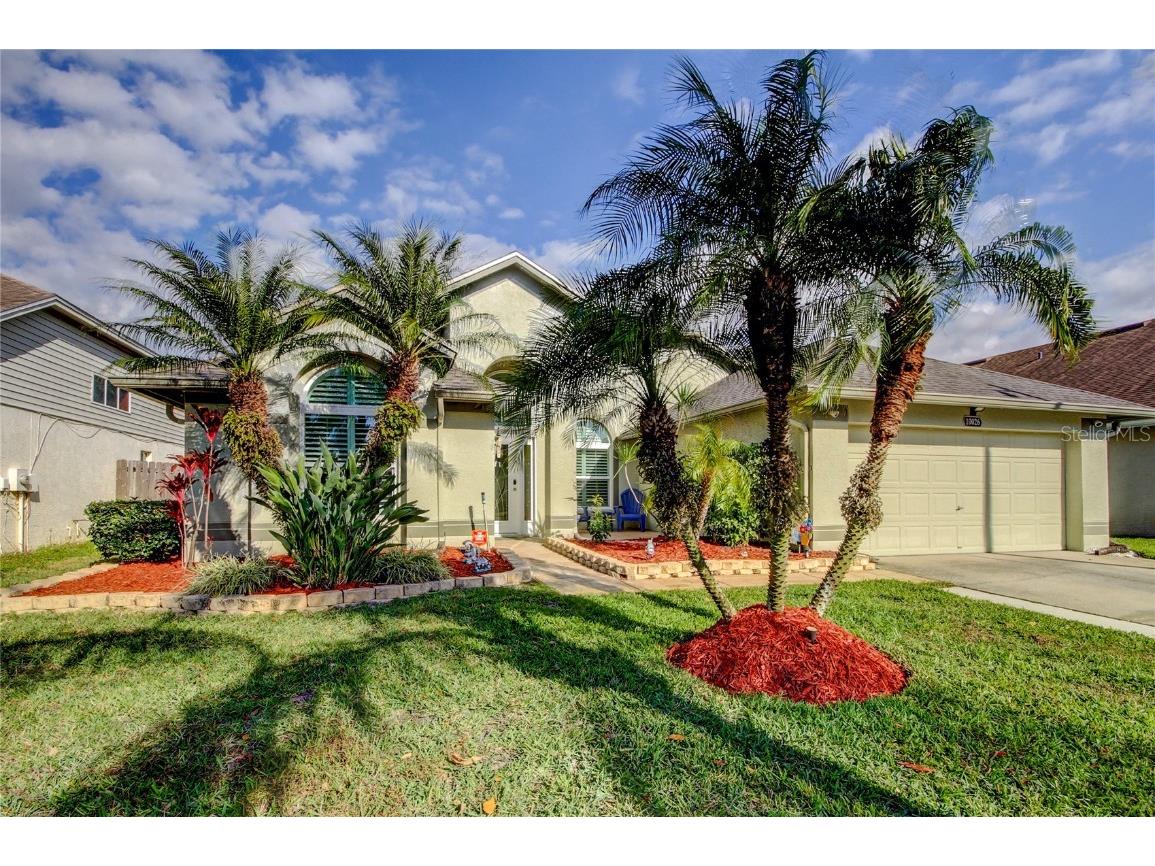 10026 Oasis Palm Drive Tampa FL 33615 TB8360781 image1