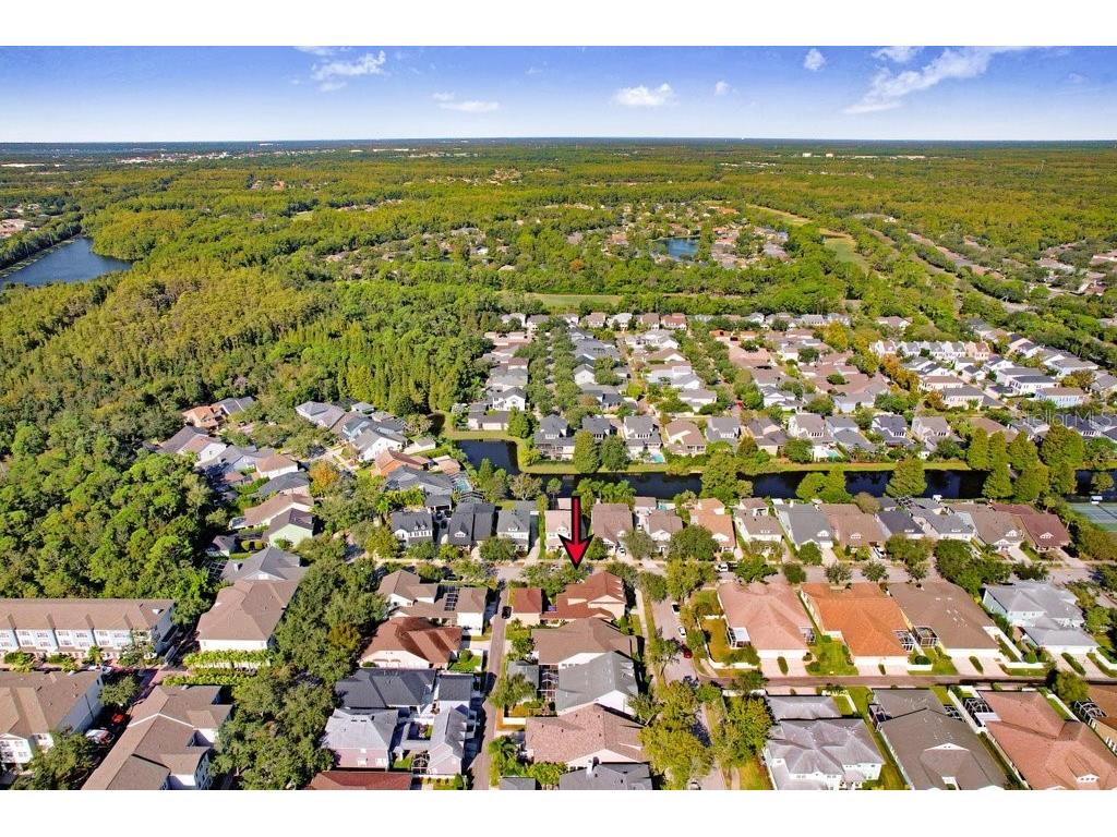 10026 Seymour Way Tampa FL 33626 TB8440531 image57