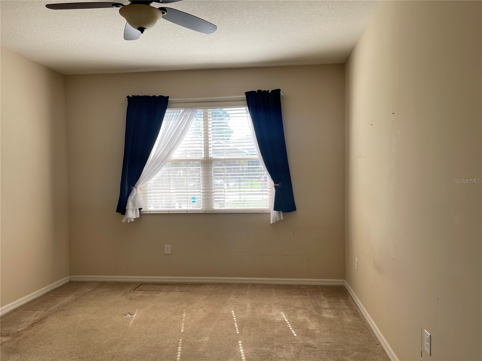 10026 Weathers Loop Clermont FL 34711 O6400470 image20