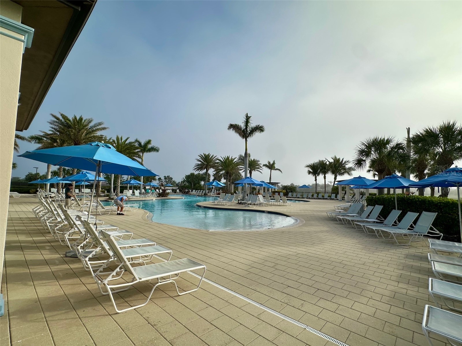 10027 Crooked Creek Drive #201 Venice FL 34293 N6144102 image28