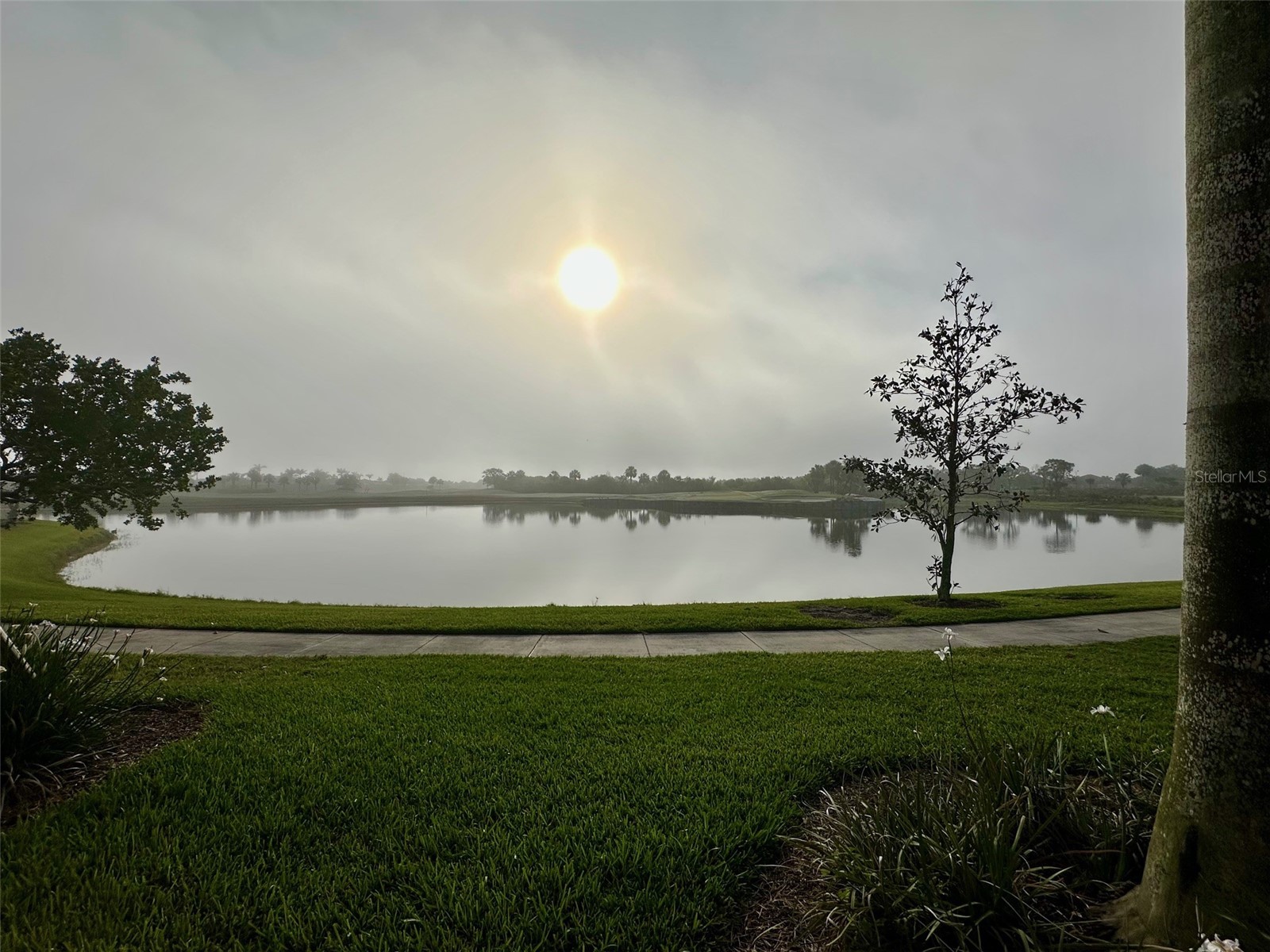 10027 Crooked Creek Drive #201 Venice FL 34293 N6144102 image29