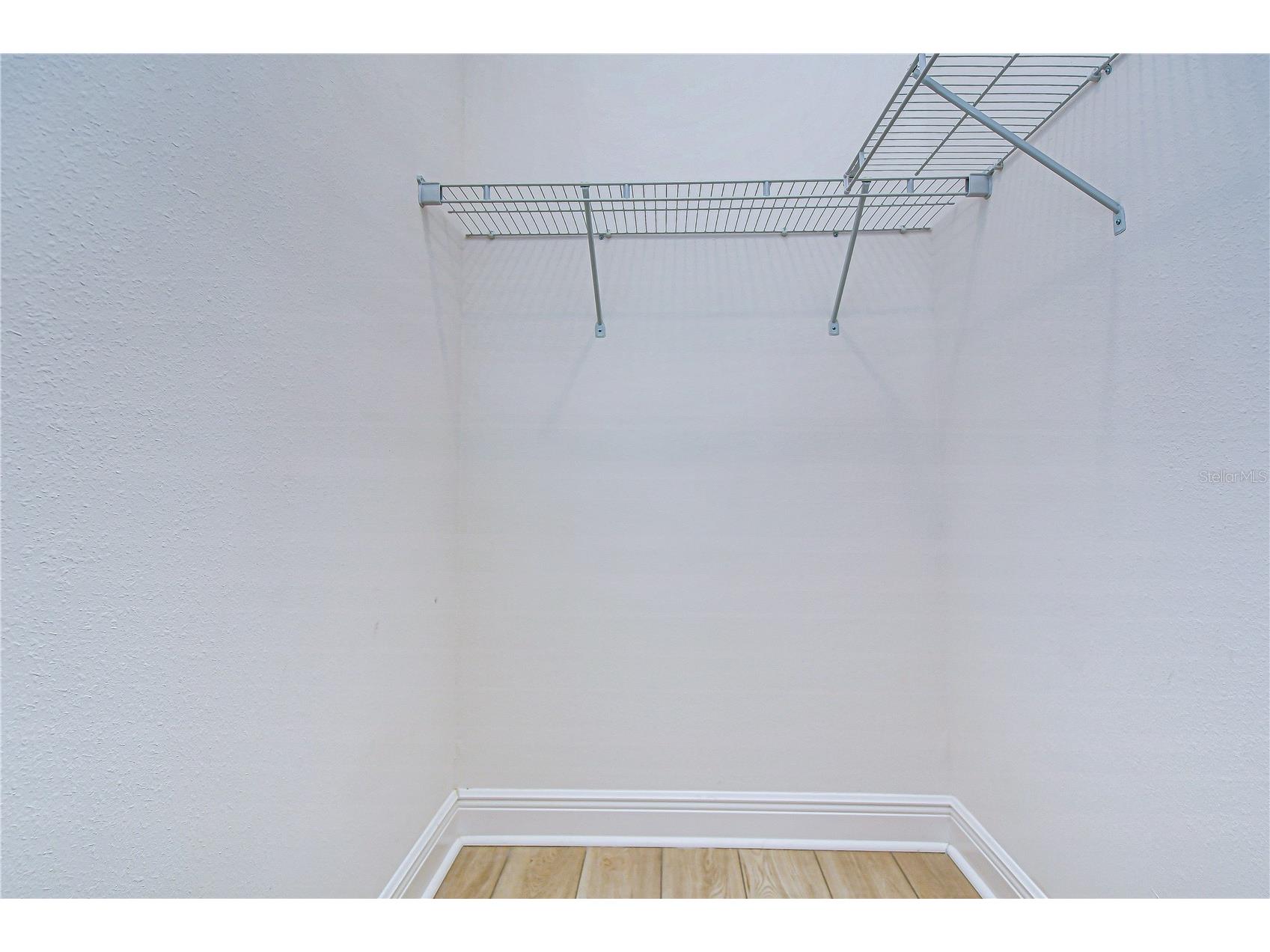 10027 Dolphin Gull Circle Thonotosassa FL 33592 TB8473091 image17