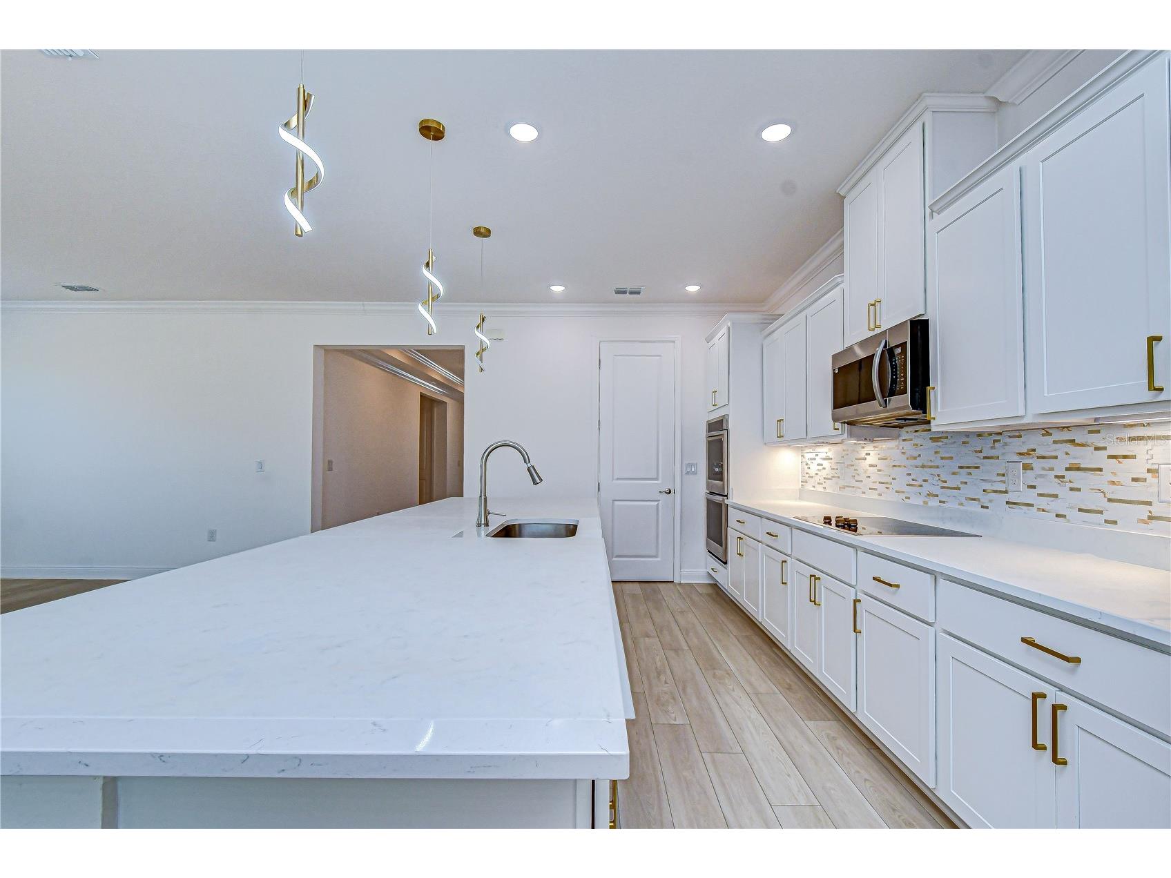 10027 Dolphin Gull Circle Thonotosassa FL 33592 TB8473091 image25