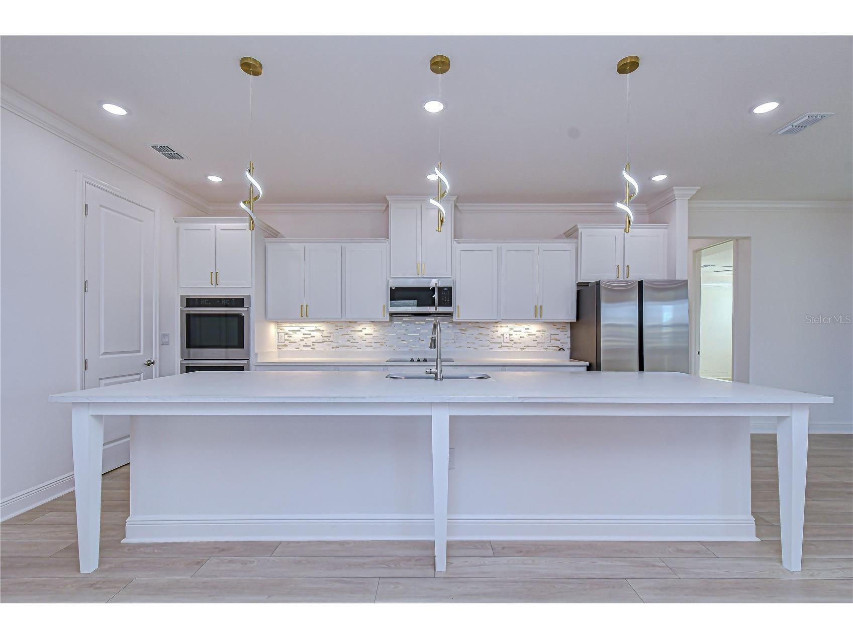 10027 Dolphin Gull Circle Thonotosassa FL 33592 TB8473091 image27