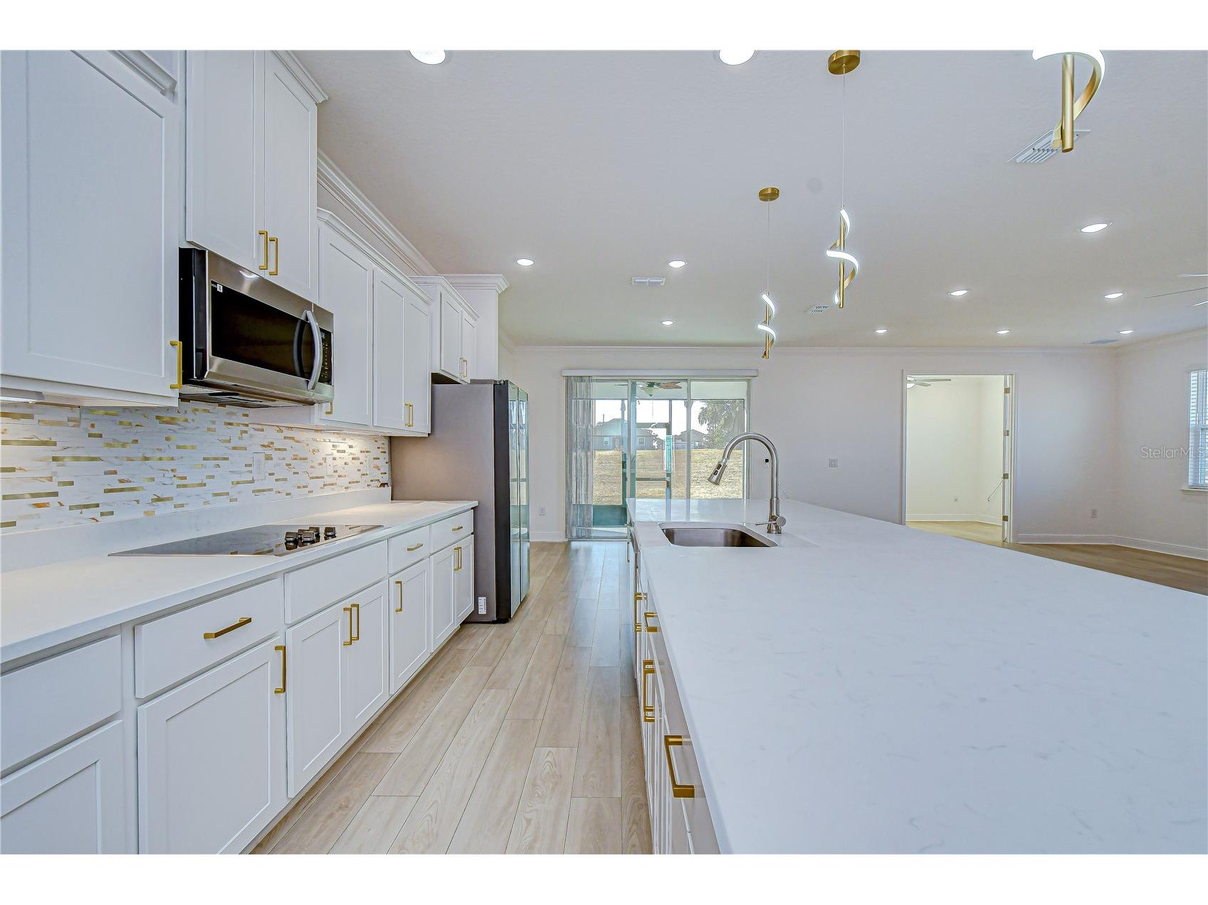 10027 Dolphin Gull Circle Thonotosassa FL 33592 TB8473091 image28