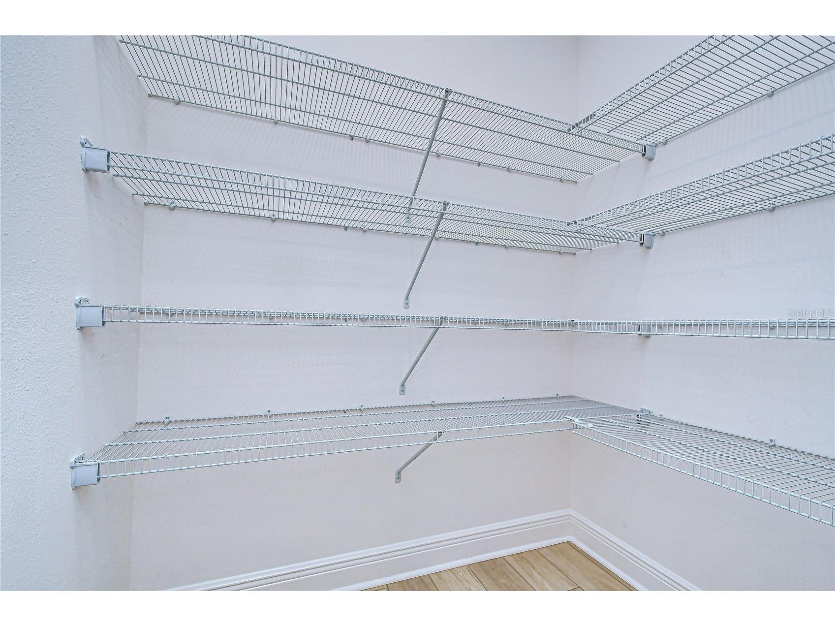 10027 Dolphin Gull Circle Thonotosassa FL 33592 TB8473091 image33