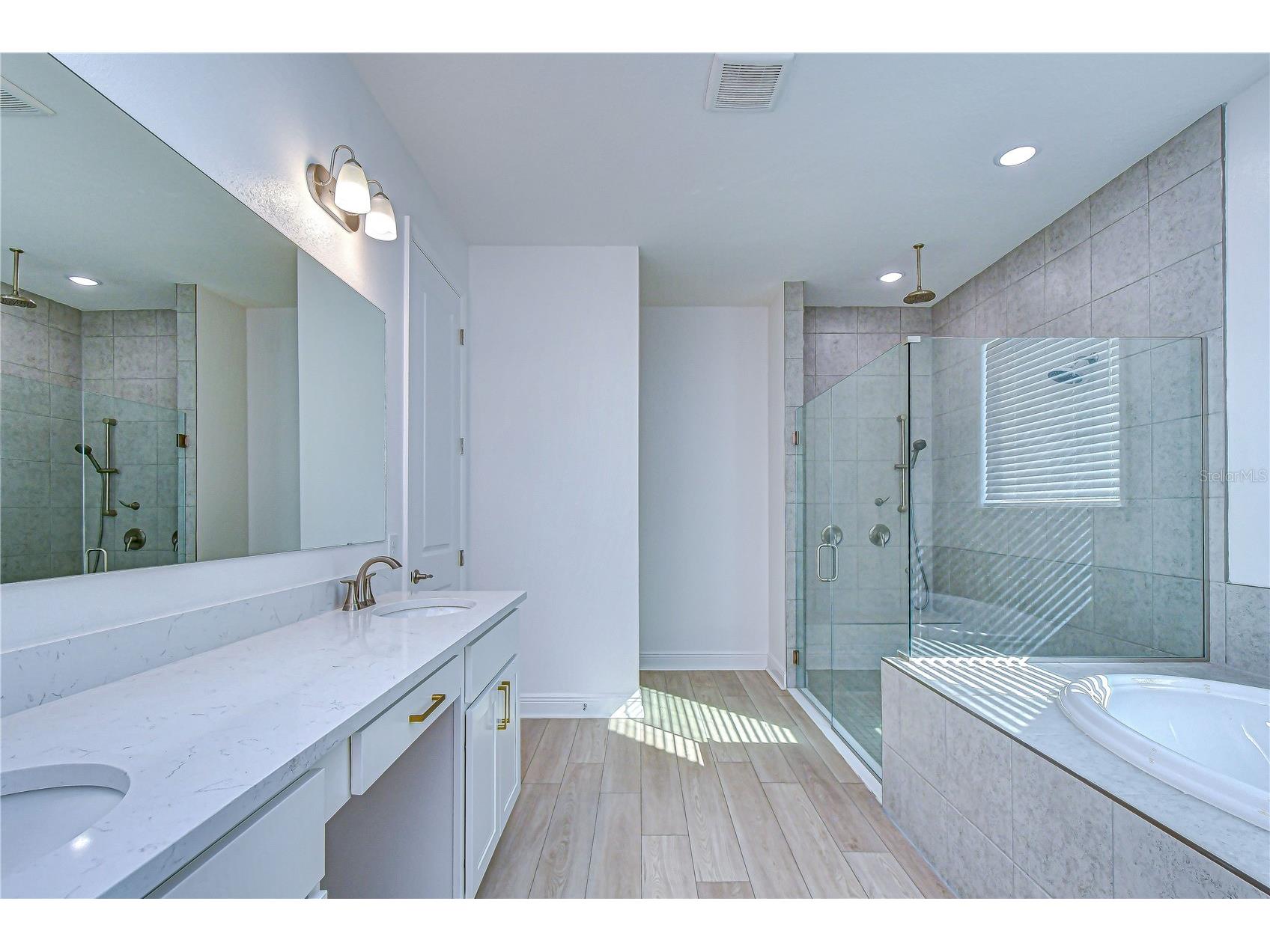 10027 Dolphin Gull Circle Thonotosassa FL 33592 TB8473091 image40